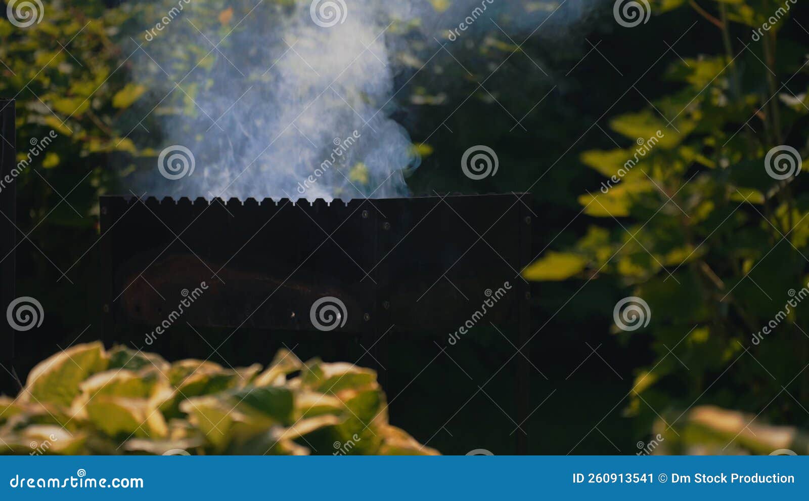 Charcoal grill mangal stock video. Video of danger, burn 260913541