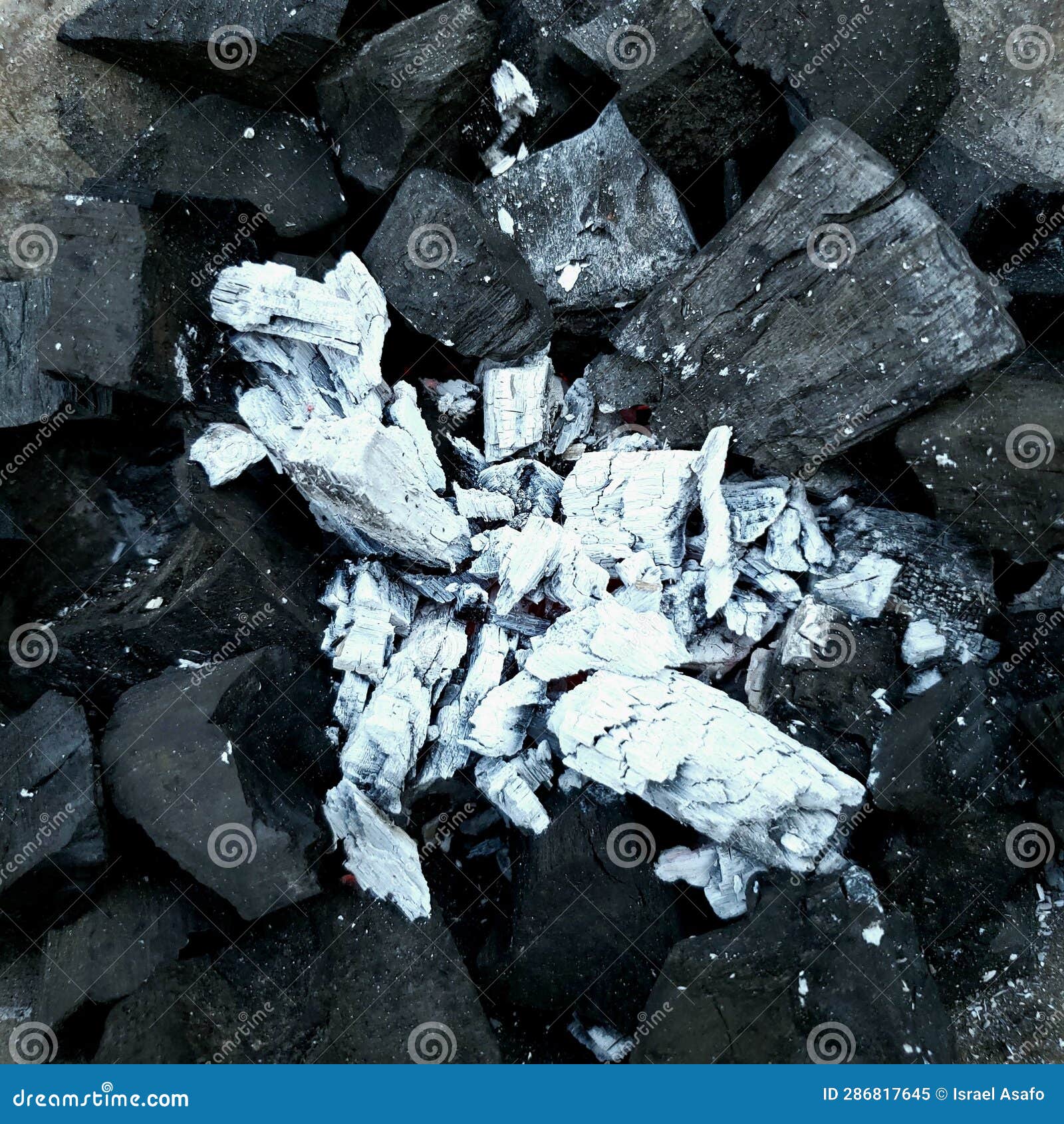 Charcoal set on fire stock image. Image of black, charcoal 286817645