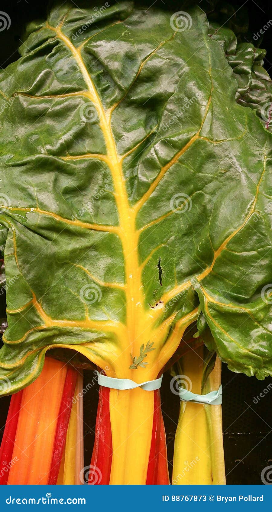 Chard at a Produce Stand stock image. Image of market 88767873