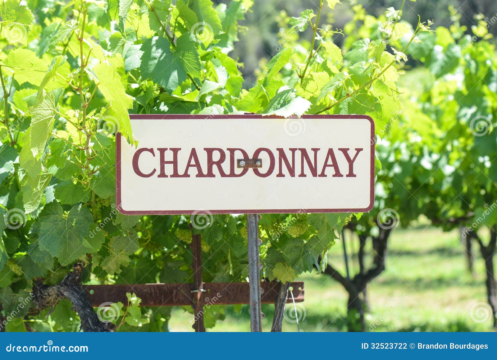 chardonnay grapes sign