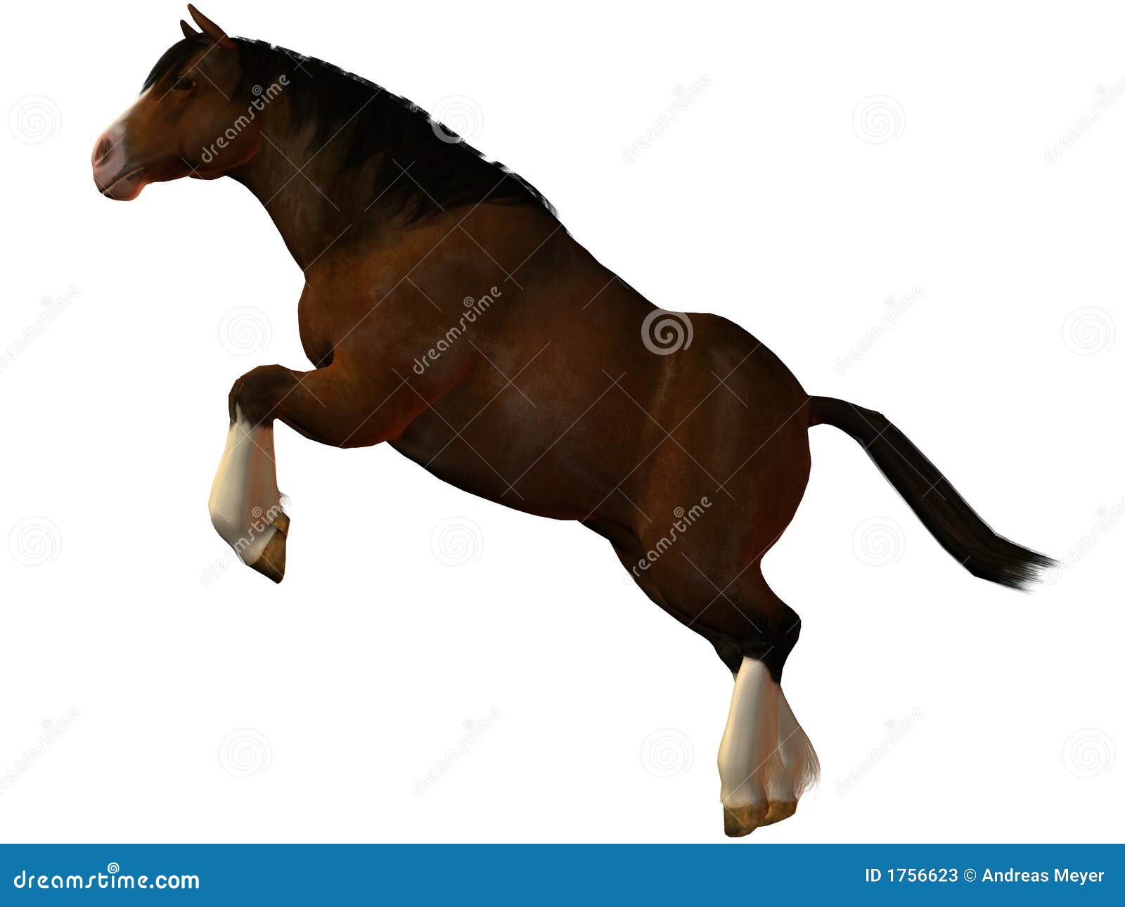 Charger HorseLeap stock illustration. Illustration of horse 1756623