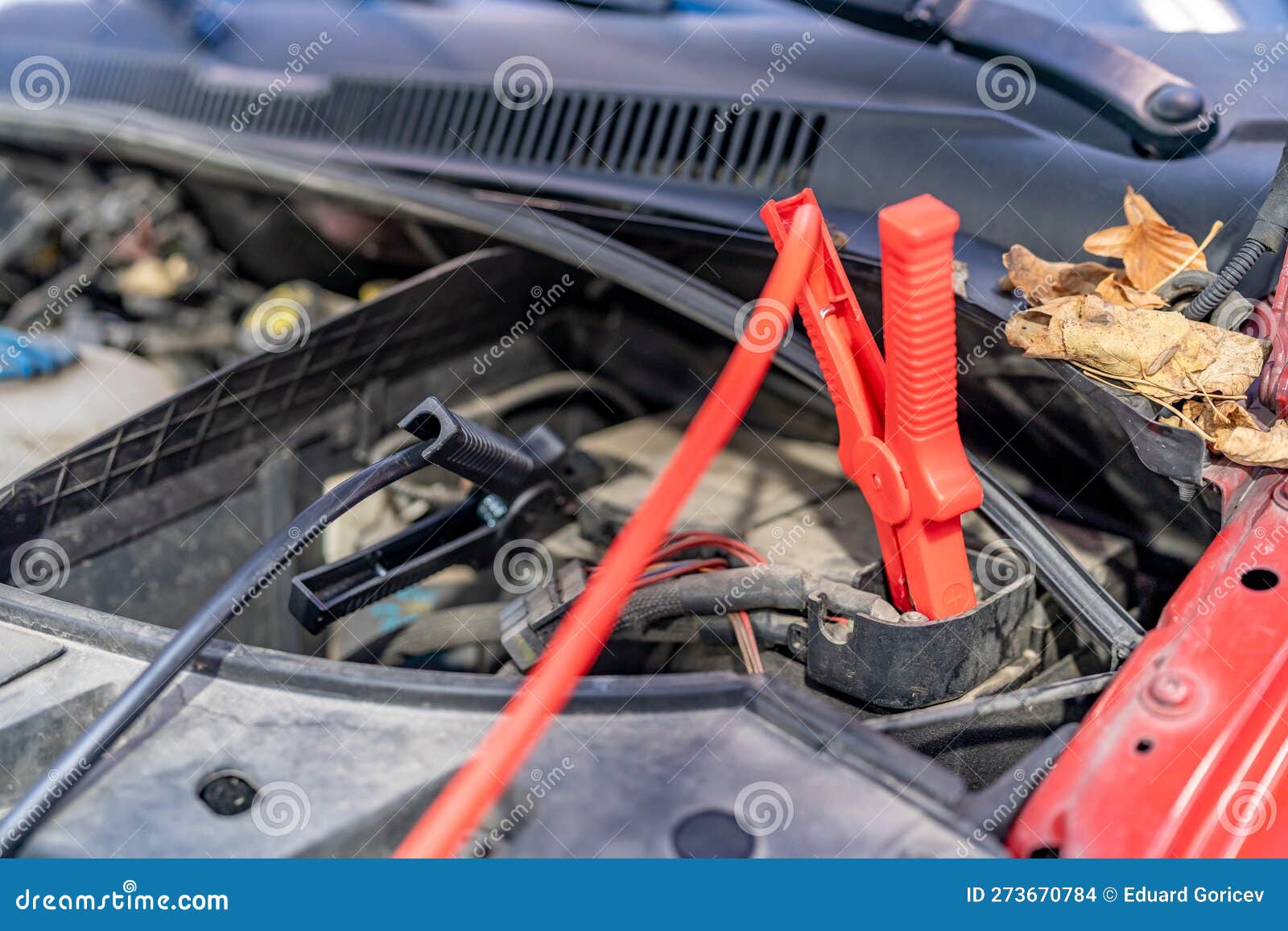Charging the Car Battery Using Electric Cables Stock Photo Image of wire, charger 273670784