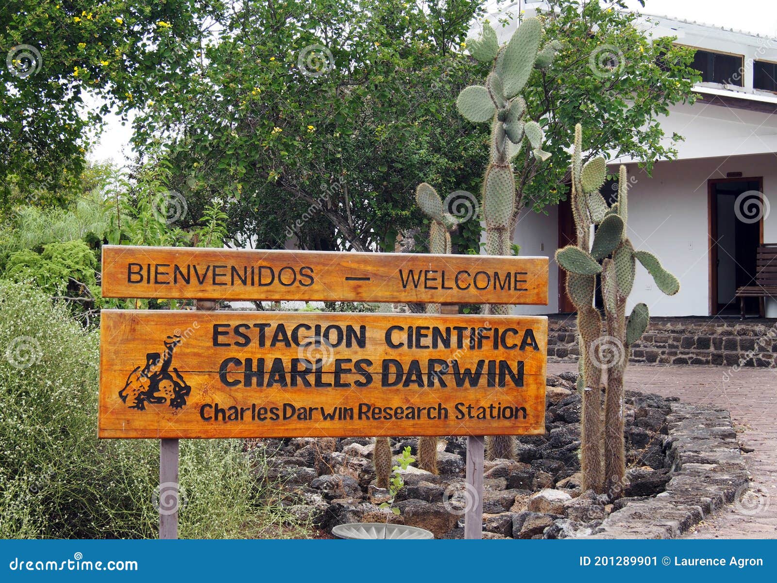 Charles Darwin Center Photos - Free & Royalty-Free Photos from Dreamstime