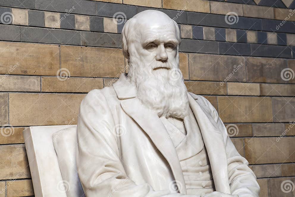 Charles Darwin Statue in the Natural History Museum Editorial Stock