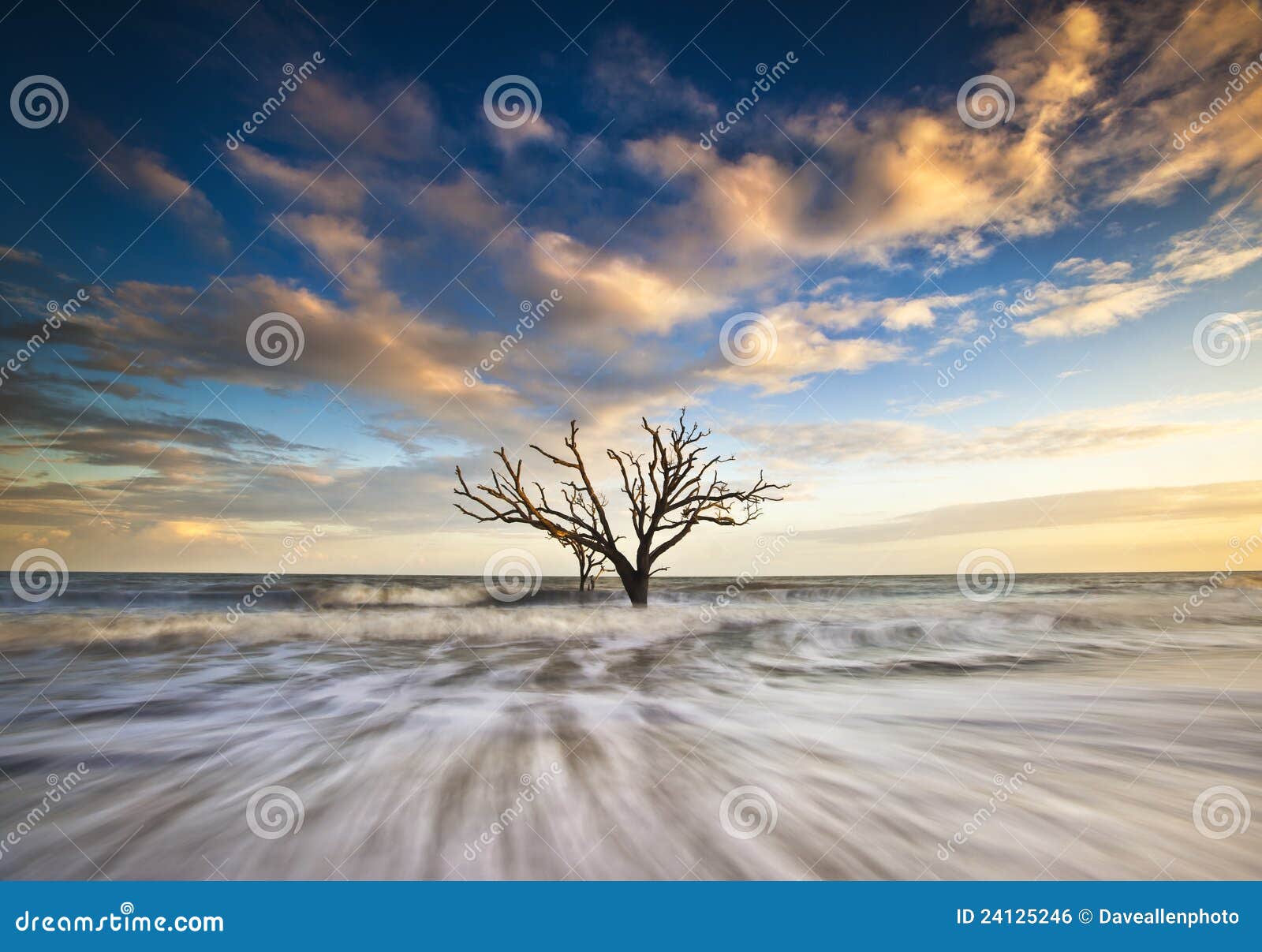 charleston sc botany bay edisto island carolinas