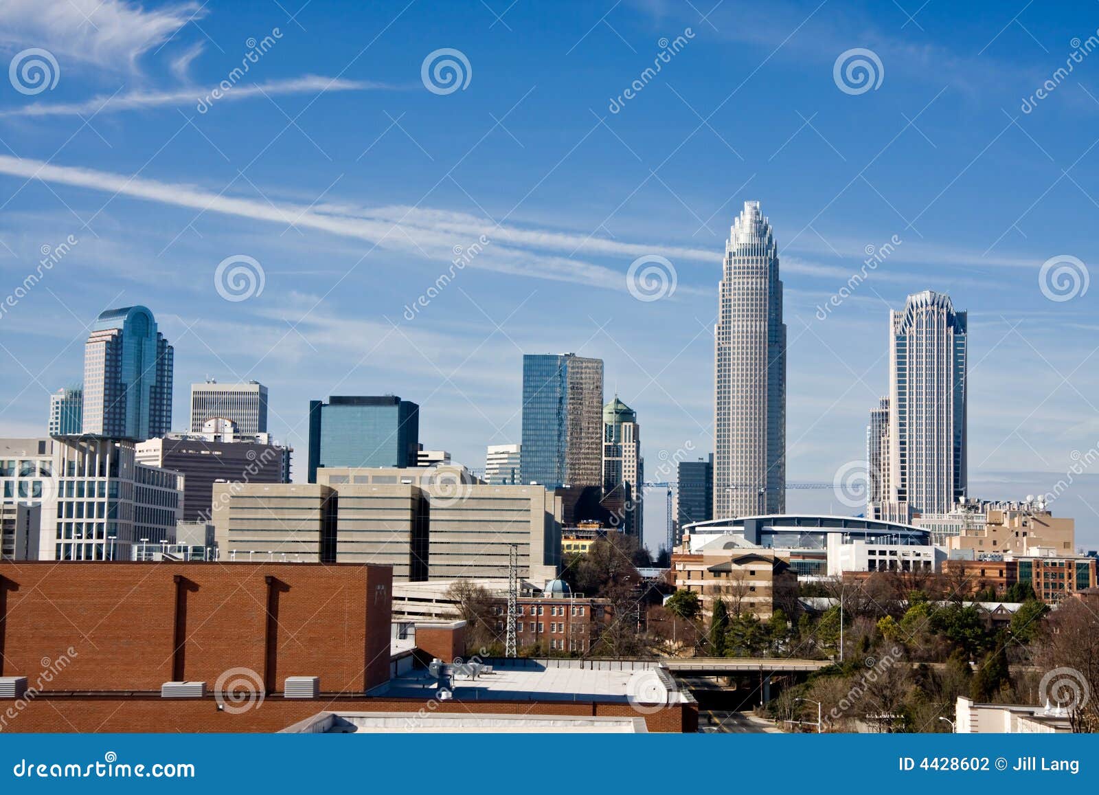 Charlotte, NC, North Carolina, Downtown, The Charlotte Bobcats