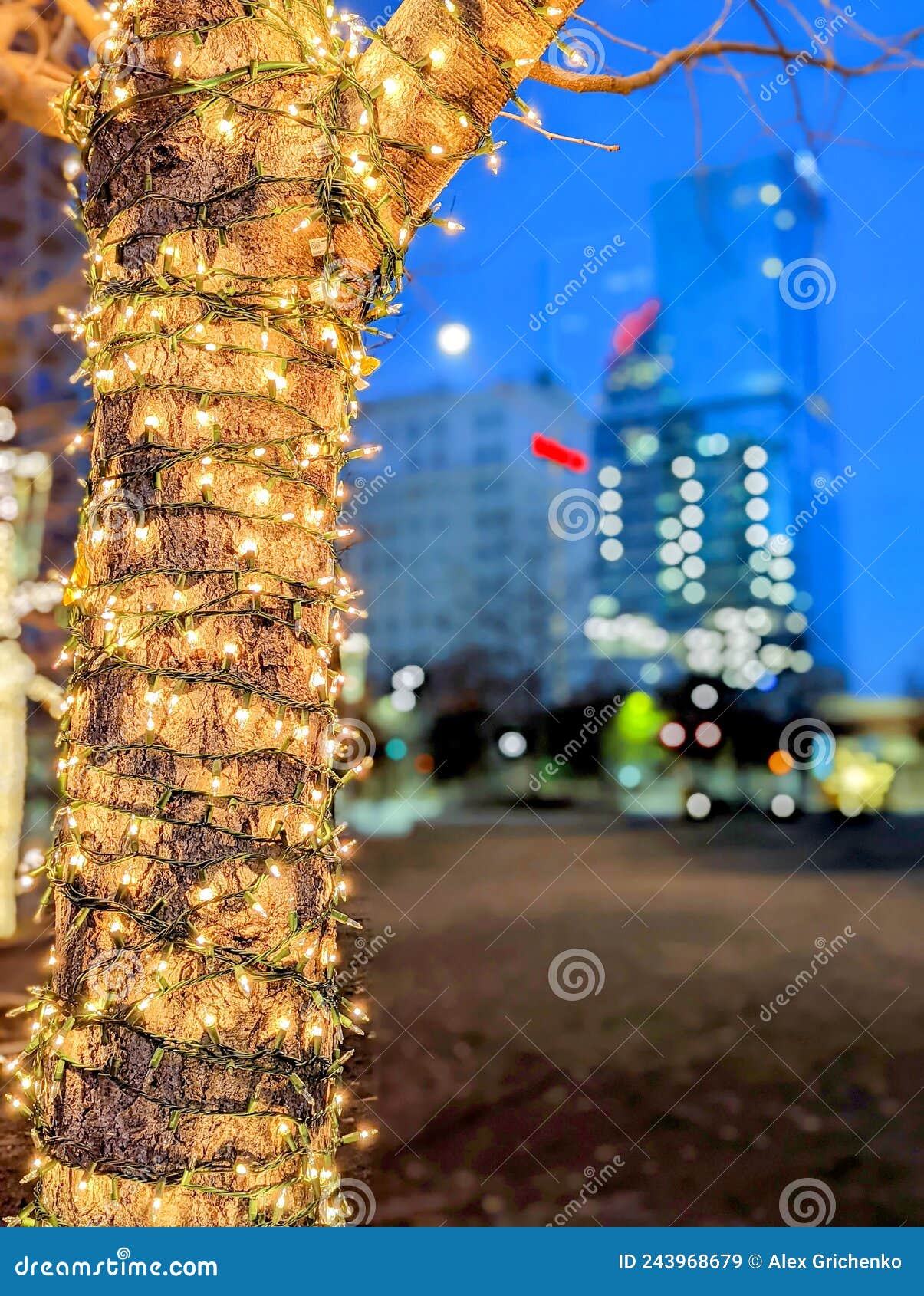 Charlotte Nc Early Morning Decorated with Holiday Lights Stock Image ...