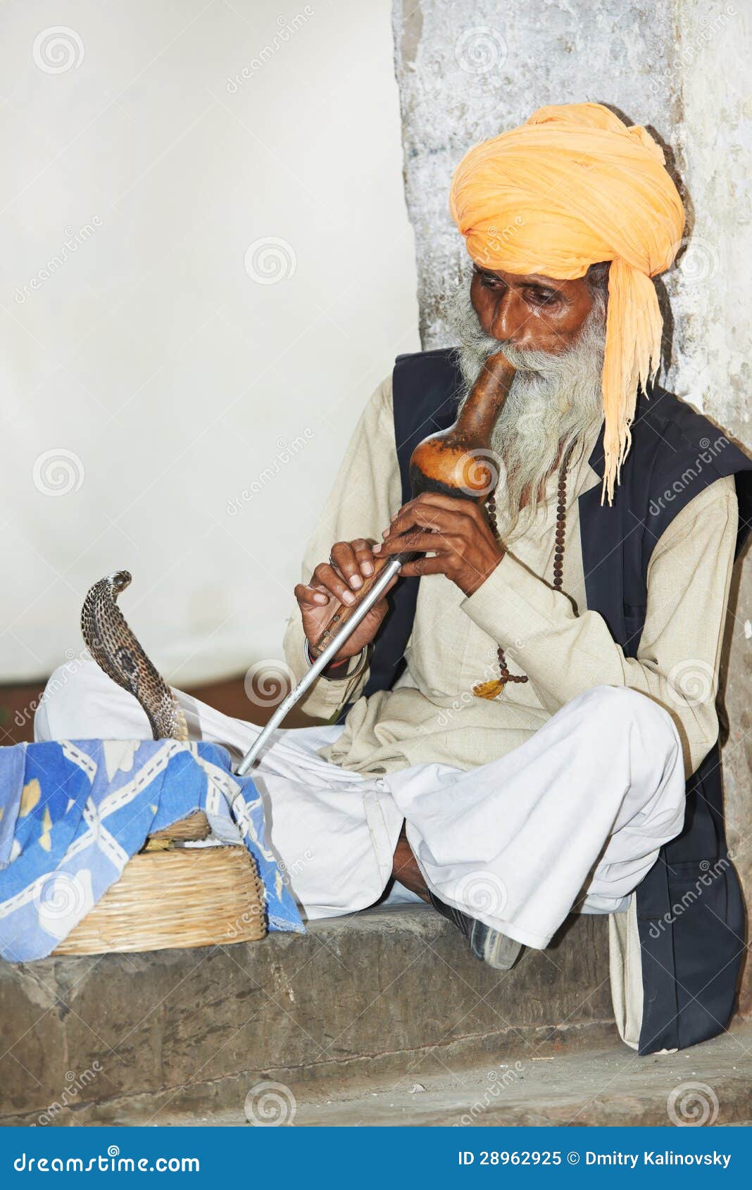 charmer of snake in india