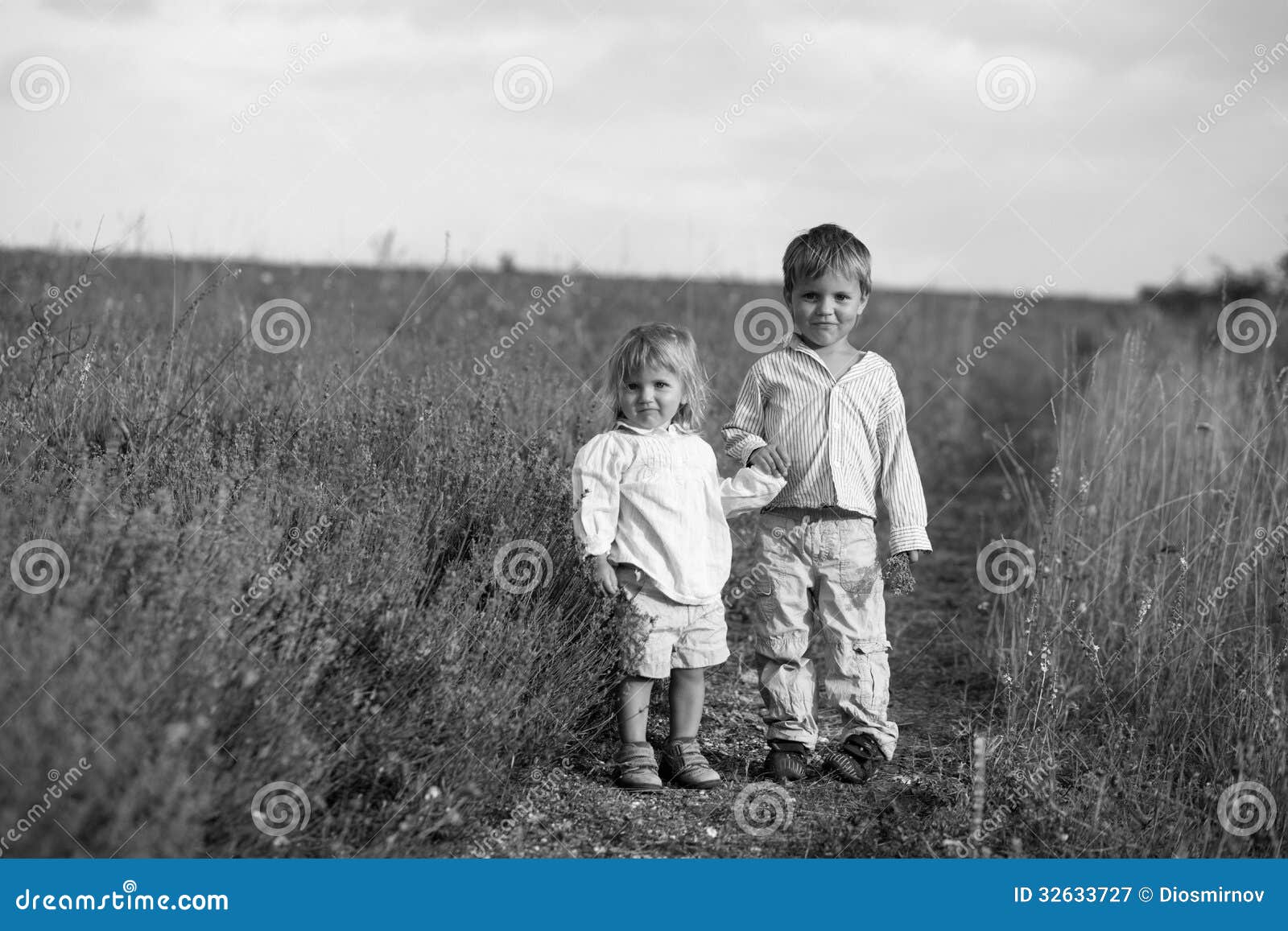 Charming Children on Lavender Field at Sunset Stock Image - Image of ...