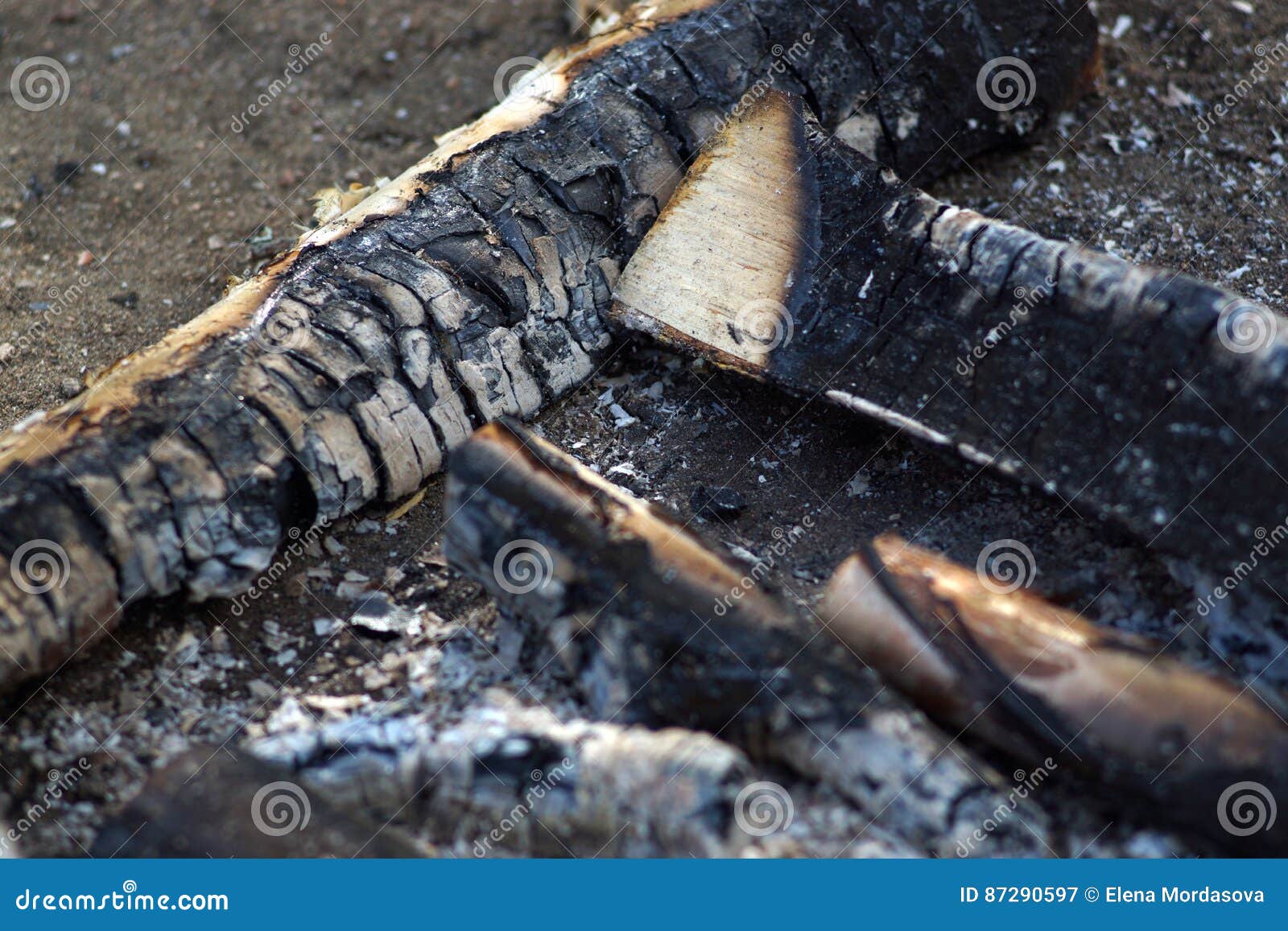 Charred Wood from the Fire on the Earth, Ash and Embers Stock Image Image of structure