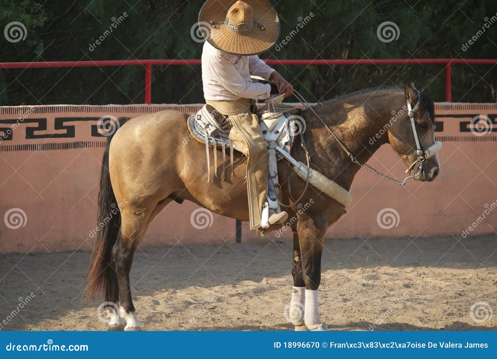 charros mexican horeseman, tx, us