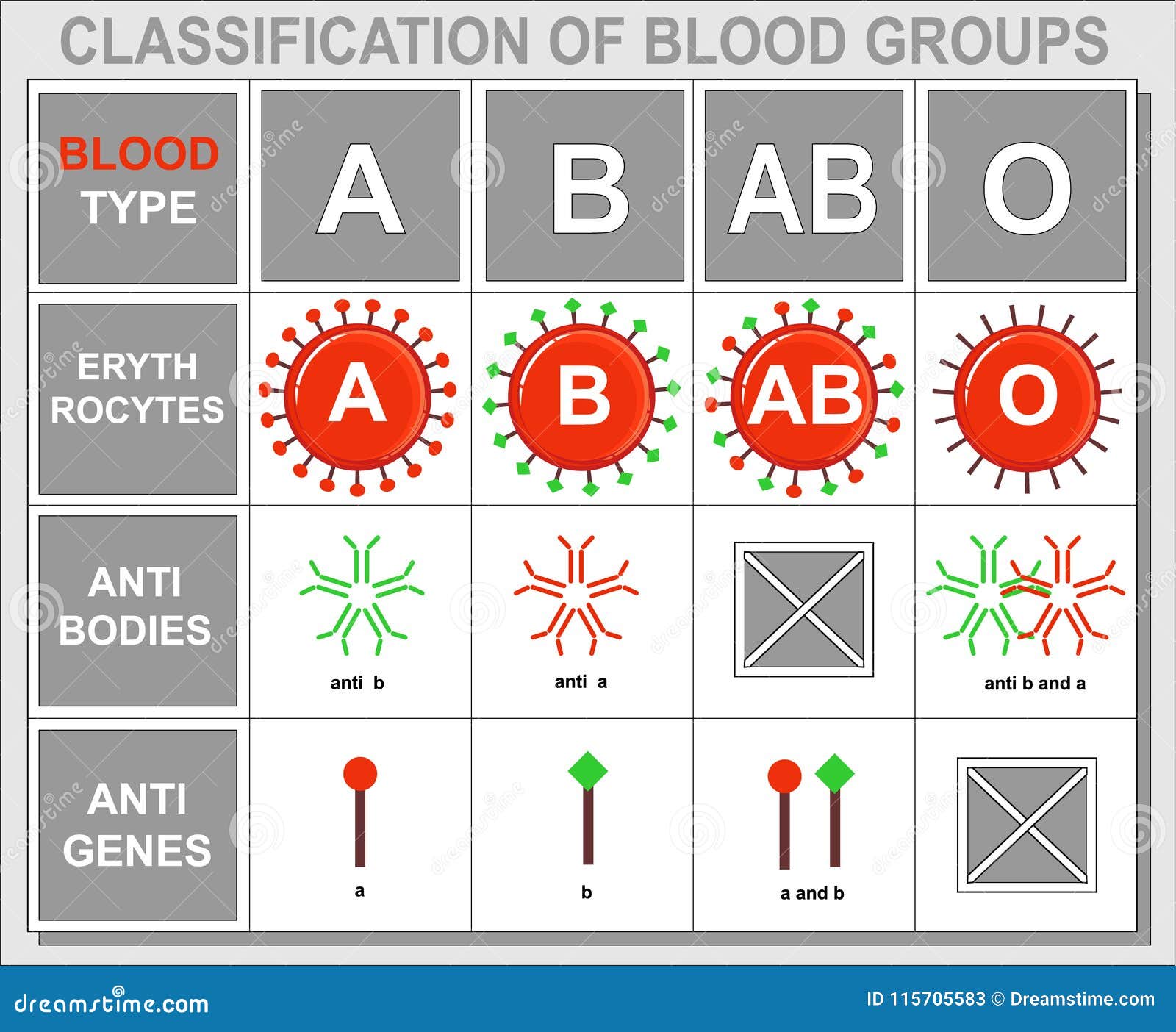 Blood Group Types Chart