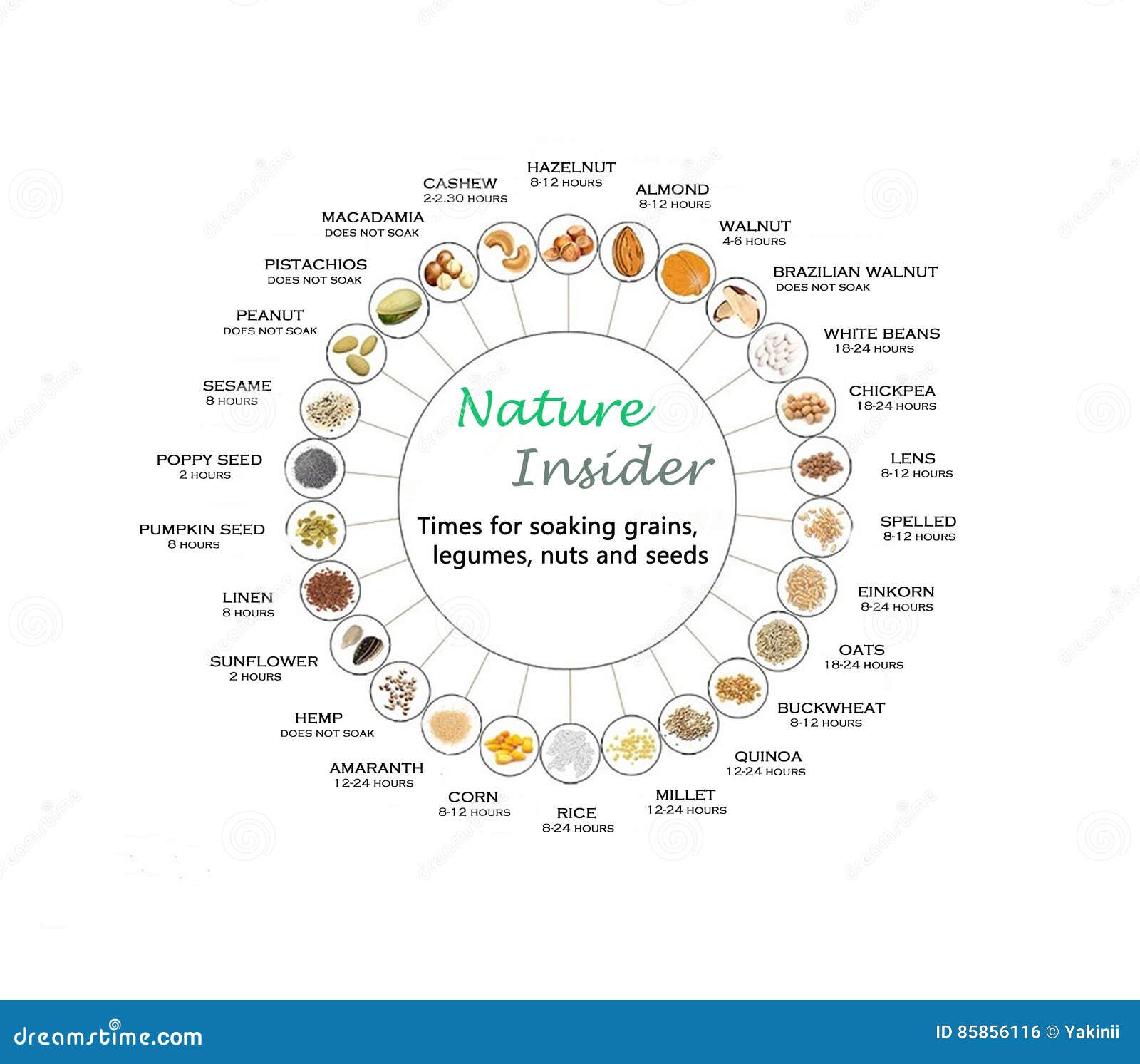 Soaking Nuts And Seeds Chart