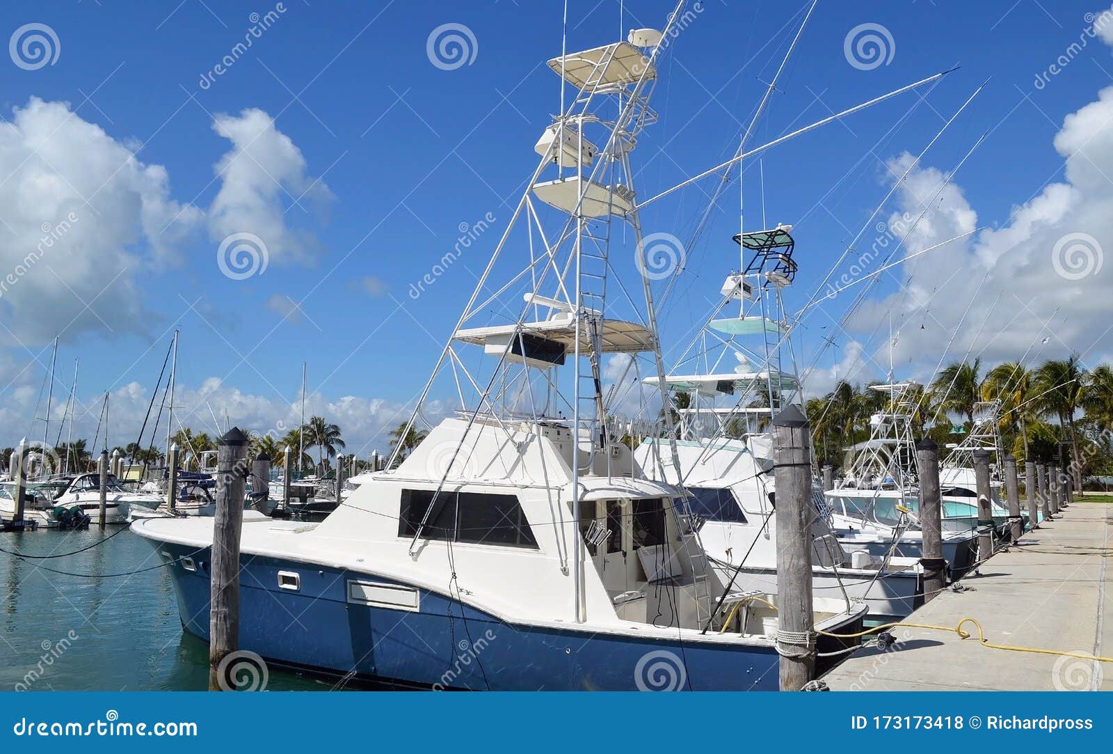 Charter Sport Fishing Boats with Tuna Towers Stock Photo - Image