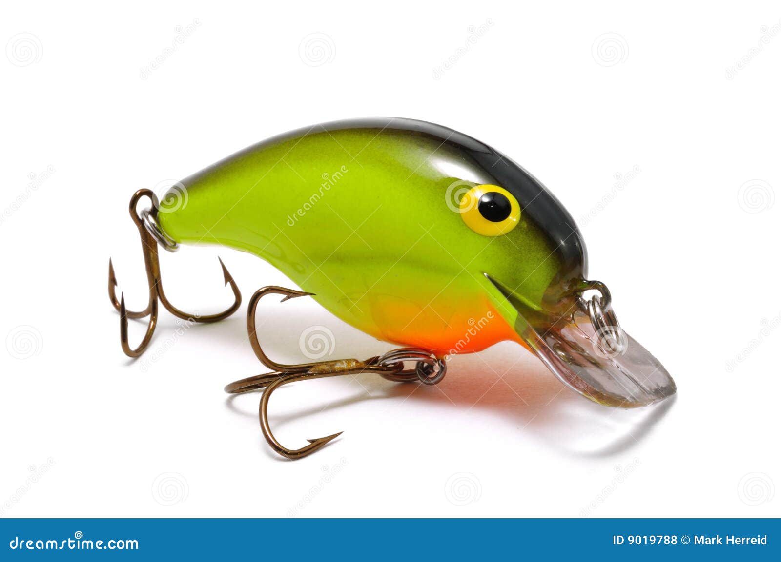 4,529 Fishing Bait Minnow Stock Photos - Free & Royalty-Free Stock Photos  from Dreamstime - Page 4