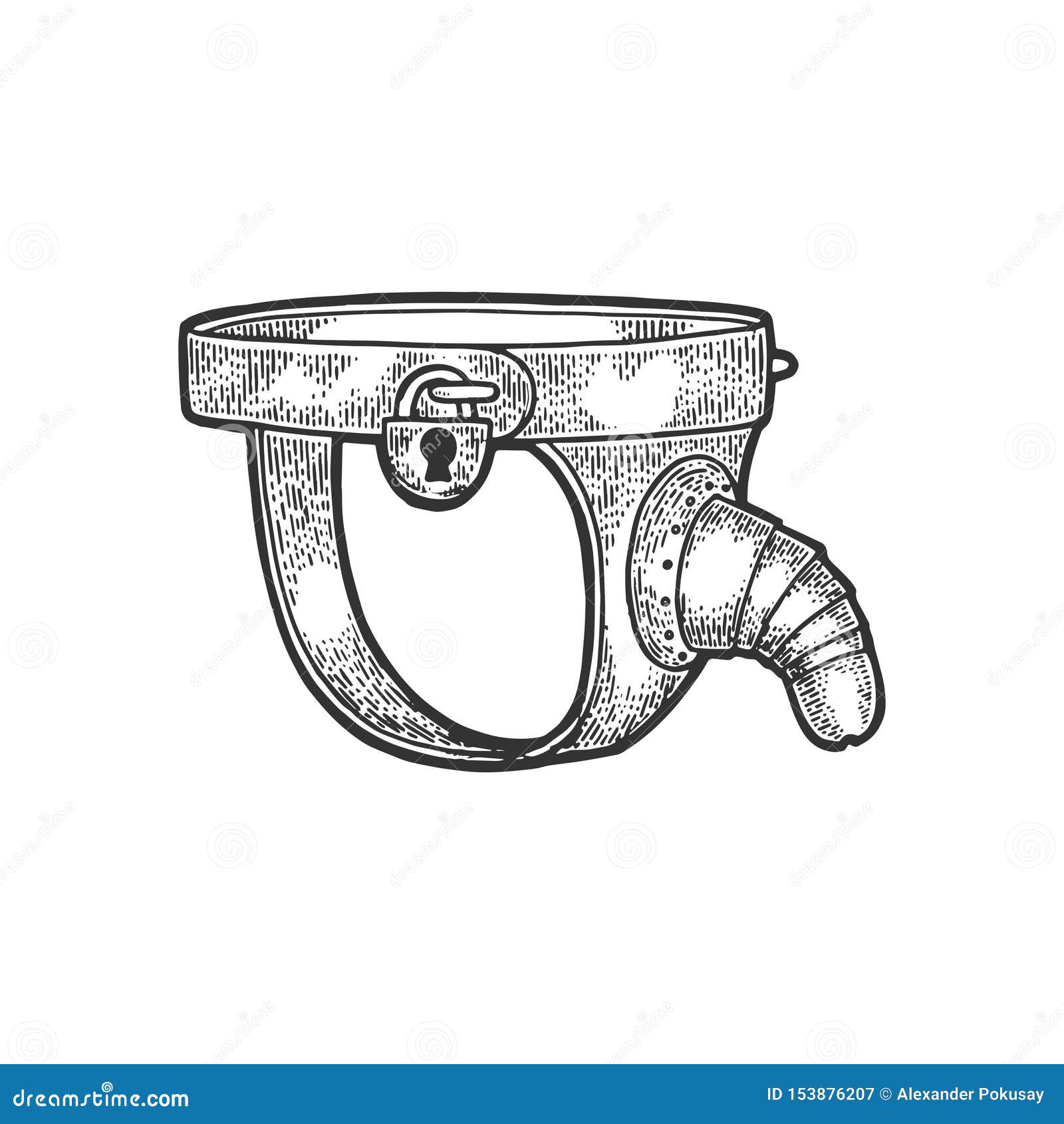 Toyota Land Cruiser serpentine belt diagram, white background