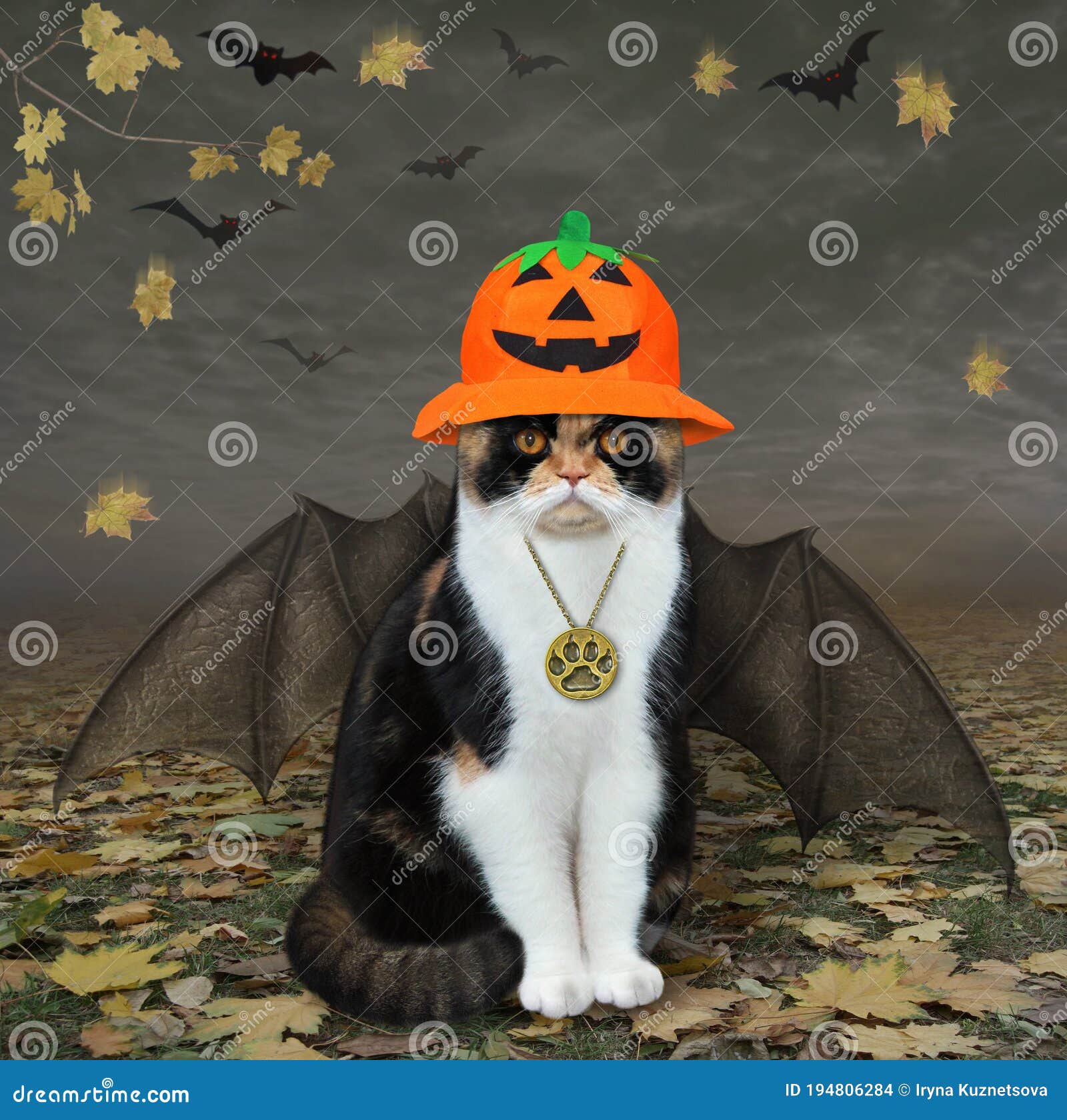 Chat Avec Des Ailes De Chauve Souris Dans La Foret 2 De Chute Photo Stock Image Du Amusement Medaillon Chat Avec Des Ailes De Chauve Souris Dans La Foret 2 De Chute Photo Stock Image Du Amusement Medaillon