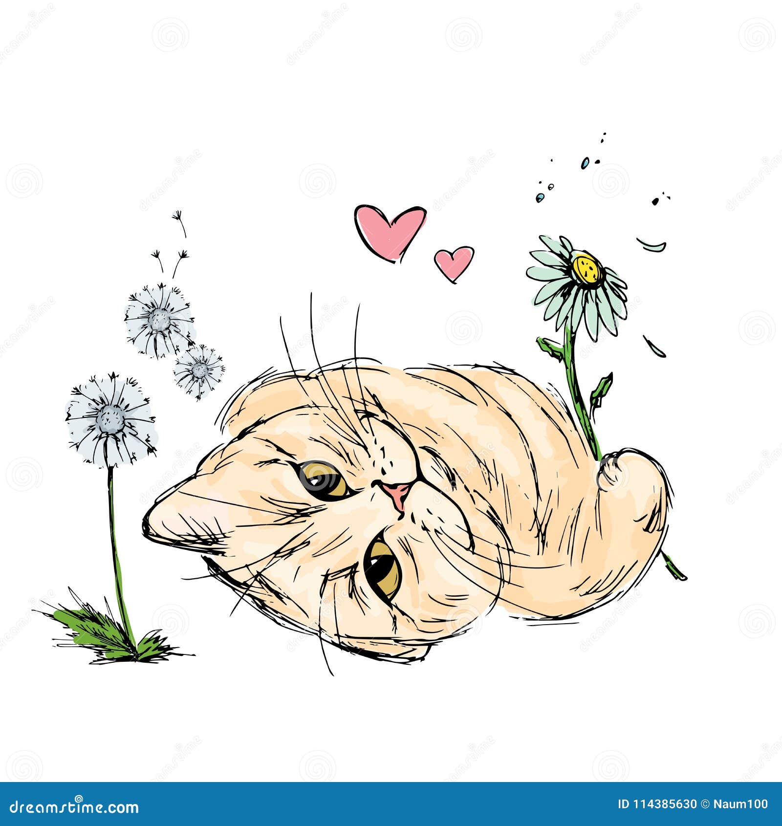 Chat Avec Des Fleurs Dessin De Main Illustration De Vecteur Illustration Du Dessin Main