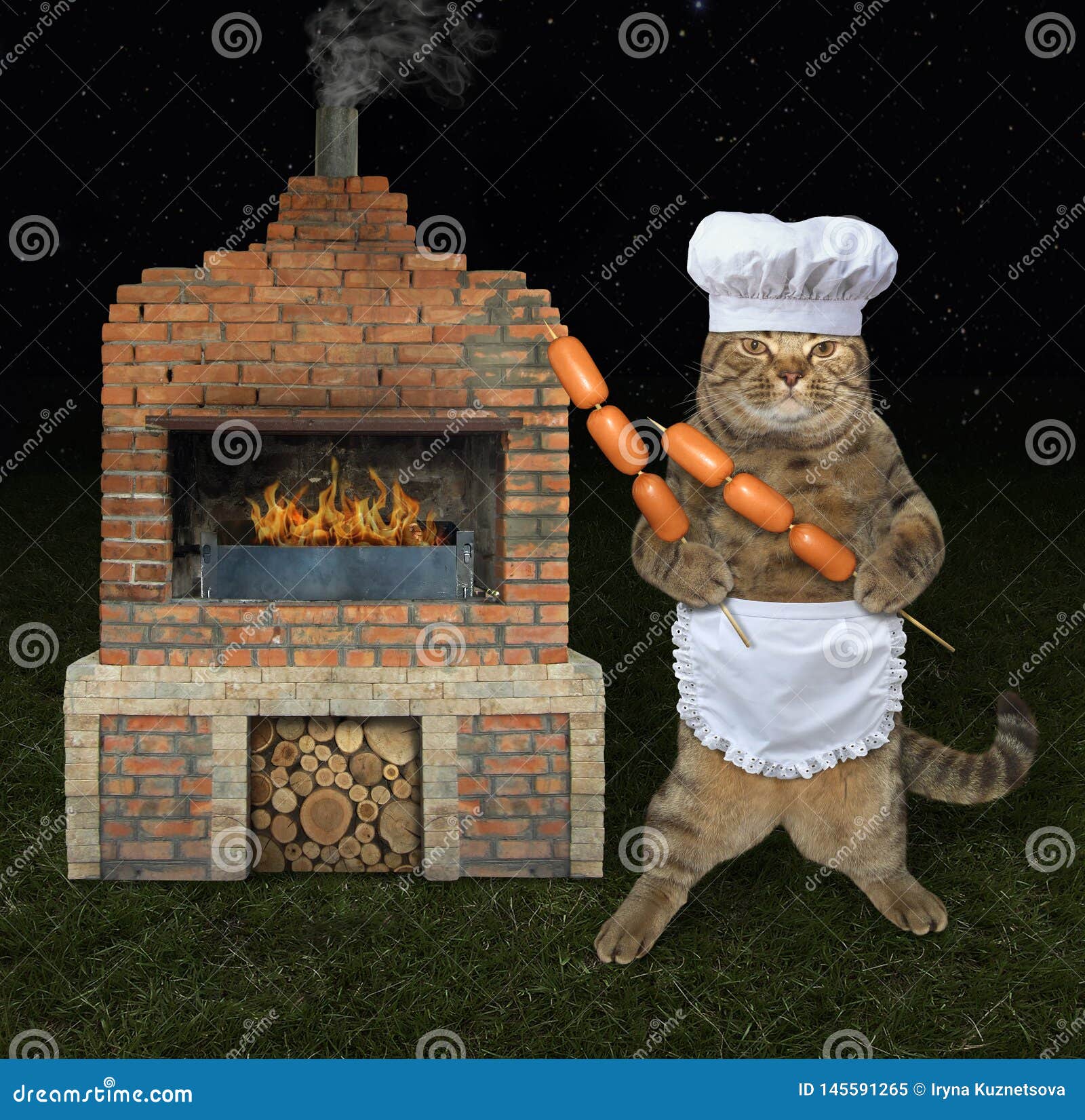 Une maman chat et ses petits pris au piège dans un barbecue