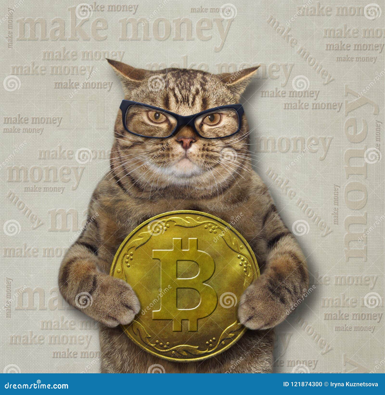 Chat avec un gros bitcoin photo stock. Image du argent - 121874300