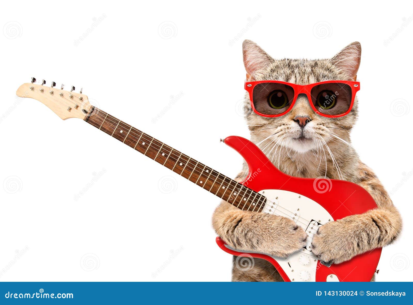 Chat Dans Des Lunettes De Soleil Avec La Guitare Electrique Photo Stock Image Du Beau Curieux Chat Dans Des Lunettes De Soleil Avec La Guitare Electrique Photo Stock Image Du Beau Curieux