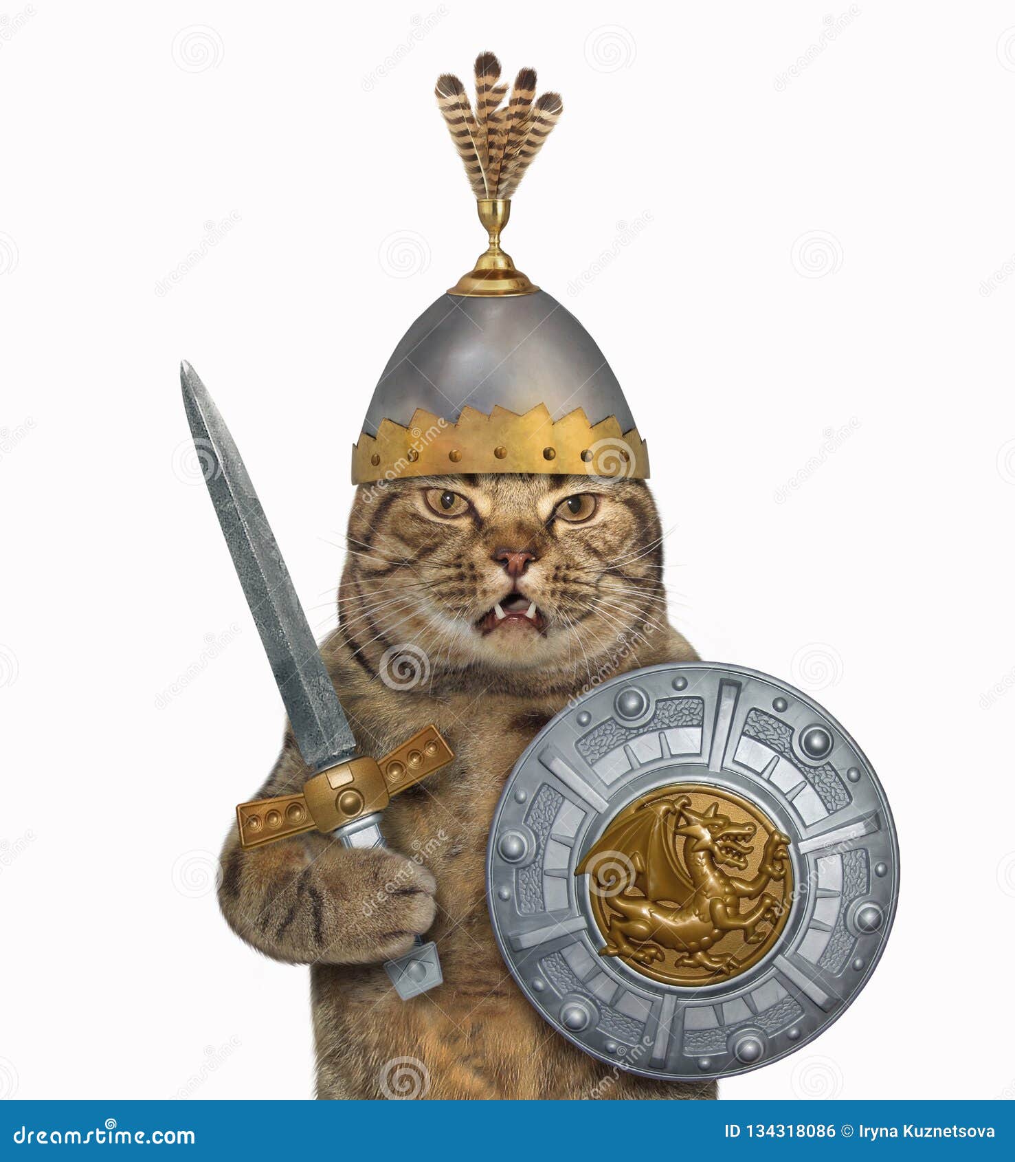 Chat Dans L Armure 3 De Chevalier Photo Stock Image Du Viking Chasseur