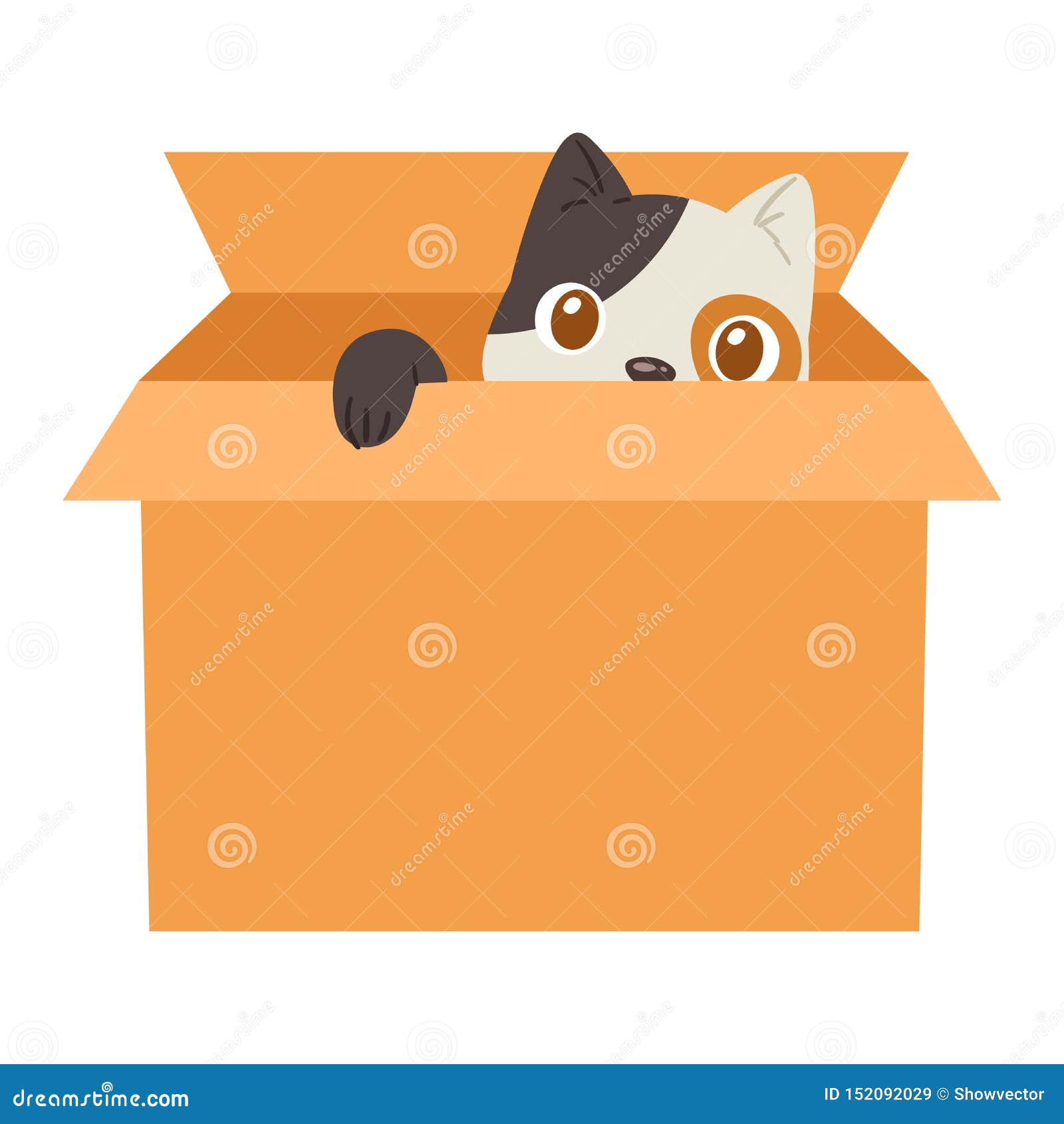 Chat Dans Le Chaton D Animal Domestique De Caractere D Animal Familier De Minou De Vecteur De Boite Dans L Ensemble Felin Enferme Illustration De Vecteur Illustration Du Kitty Chat Chat Dans Le Chaton D Animal Domestique De Caractere D Animal Familier De Minou De Vecteur De Boite Dans L Ensemble Felin Enferme Illustration De Vecteur Illustration Du Kitty Chat