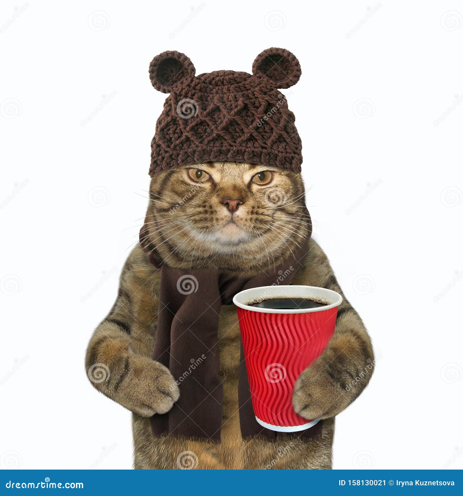 Chat En Chapeau De Laine Avec Cafe 2 Image Stock Image Du Weather Chapeau Chat En Chapeau De Laine Avec Cafe 2 Image Stock Image Du Weather Chapeau