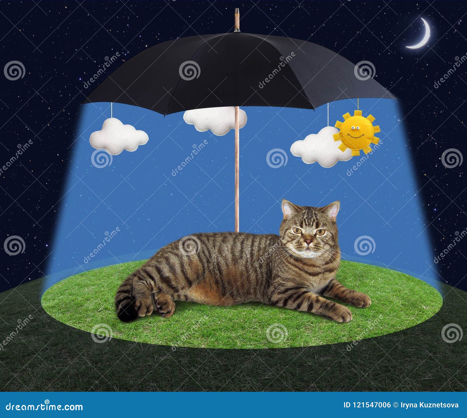 Chat Sous Un Parapluie Photo Stock Image Du Sourire 121547006