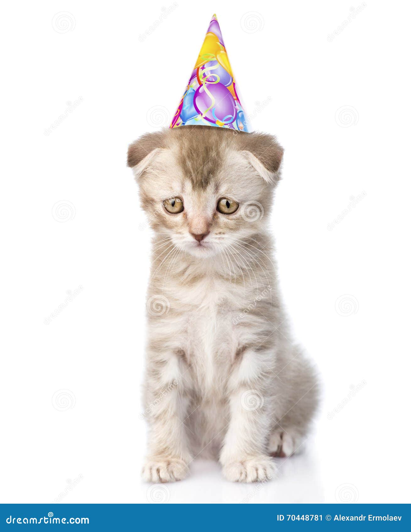 Chat Triste Avec Le Chapeau D Anniversaire D Isolement Sur Le Fond Blanc Image Stock Image Du Kitty Drole Chat Triste Avec Le Chapeau D Anniversaire D Isolement Sur Le Fond Blanc Image Stock Image Du Kitty Drole