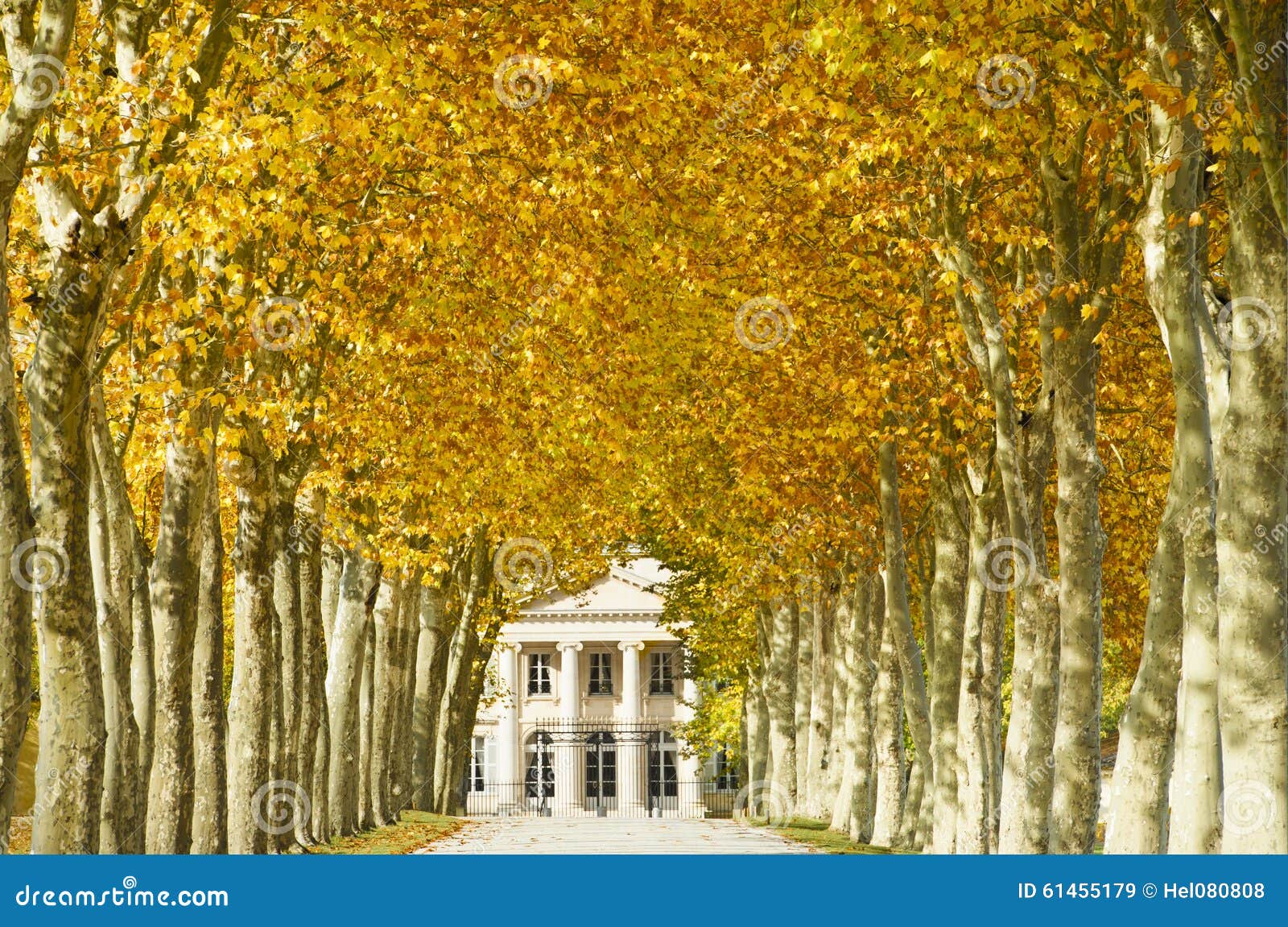 chateau margaux, bordeaux, france