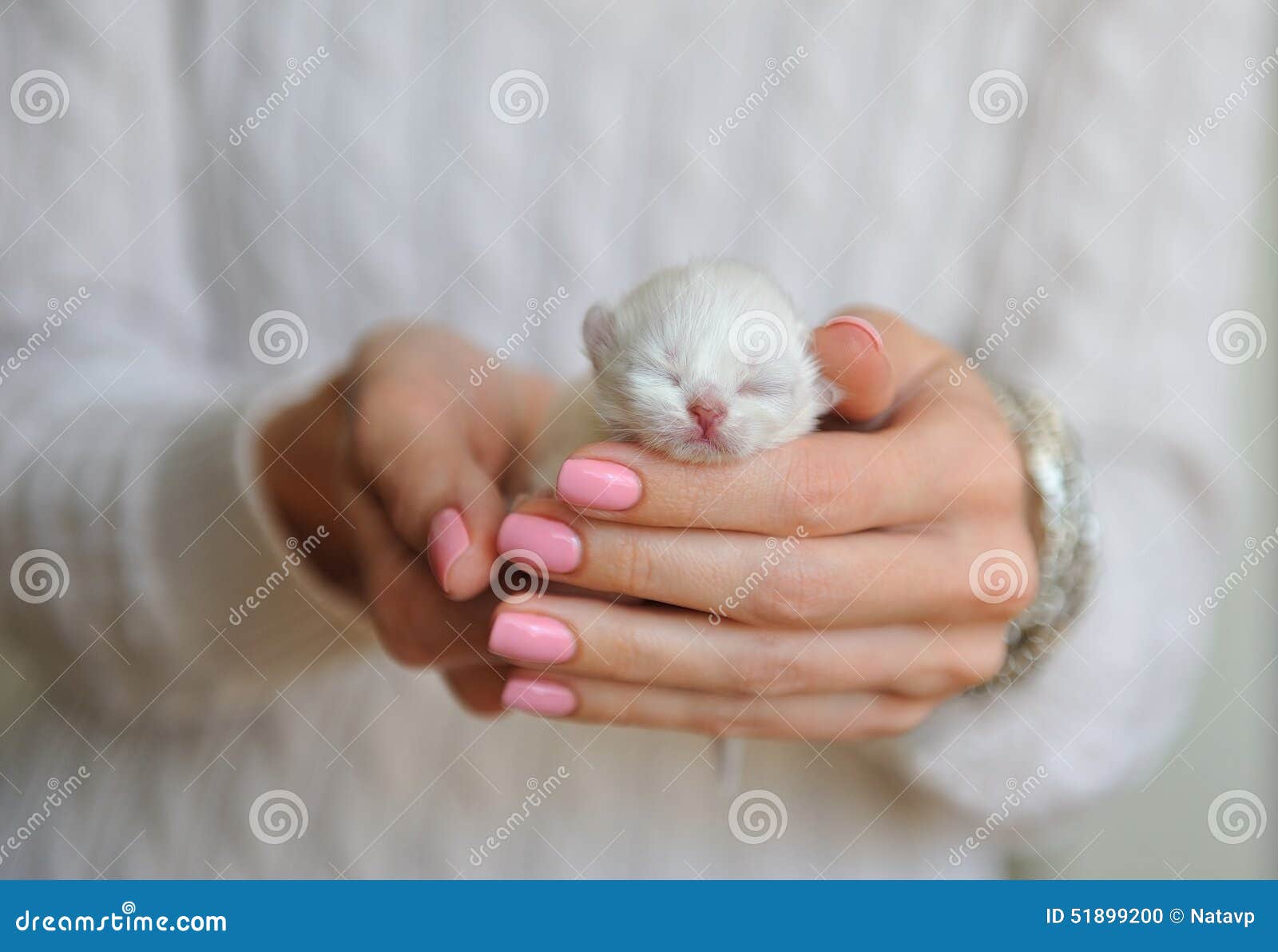 Afficher limage dorigine