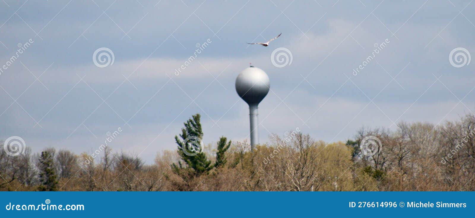 Chaumont Water Tower and Osprey Flying in the Blue Aprilsky Stock Photo