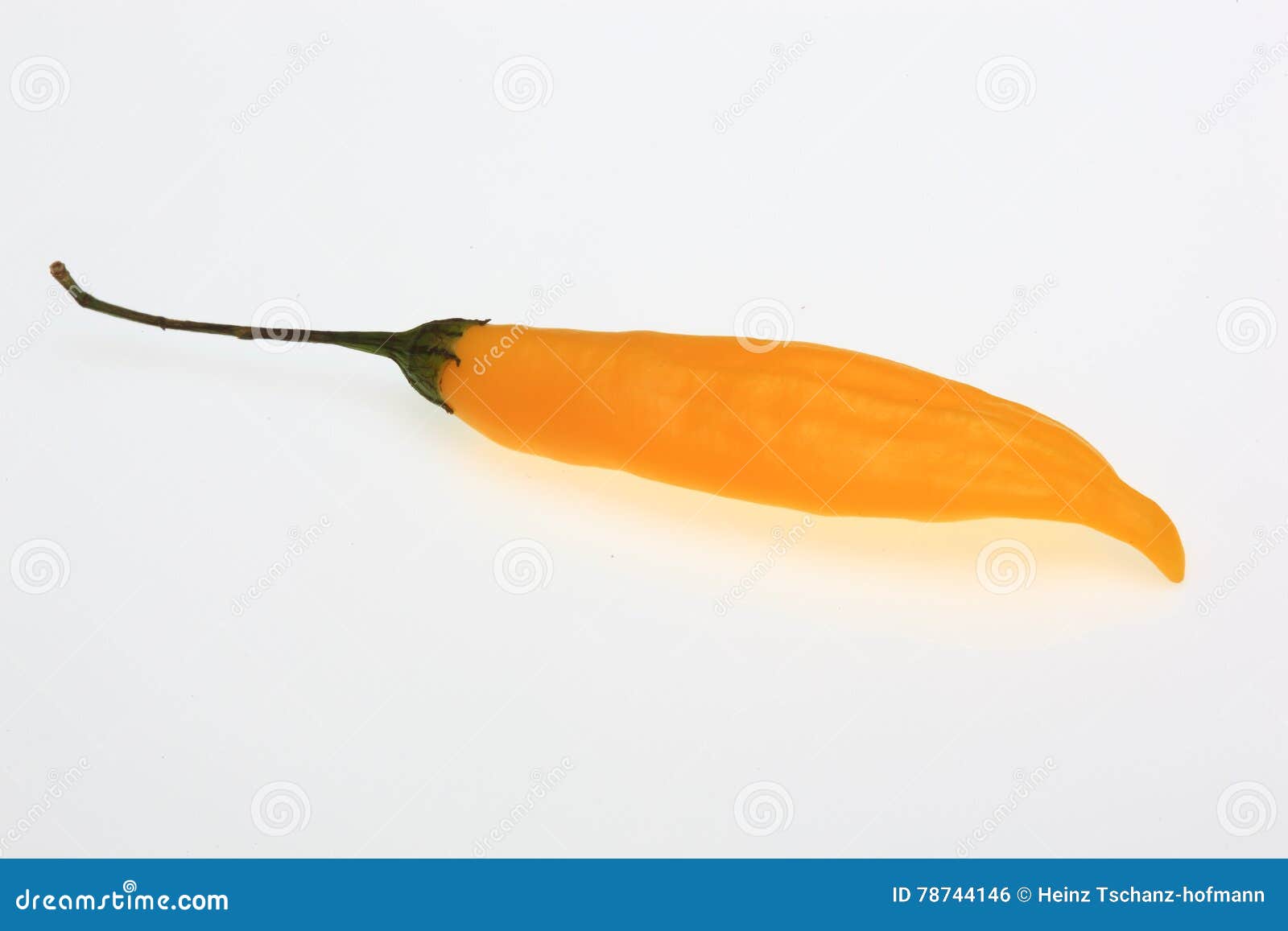 Chayenne, Chili Pepper, Capsicum Annuum Stock Photo Image of fruit