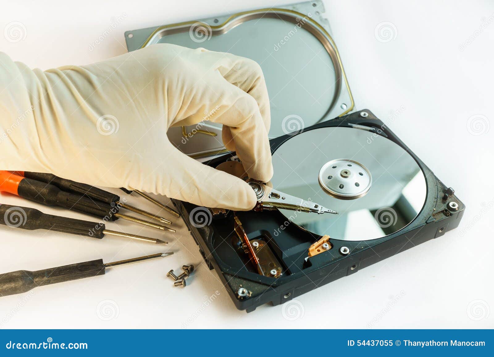 Check Hard Disk Drive by Hand Stock Image Image of drive, media 54437055