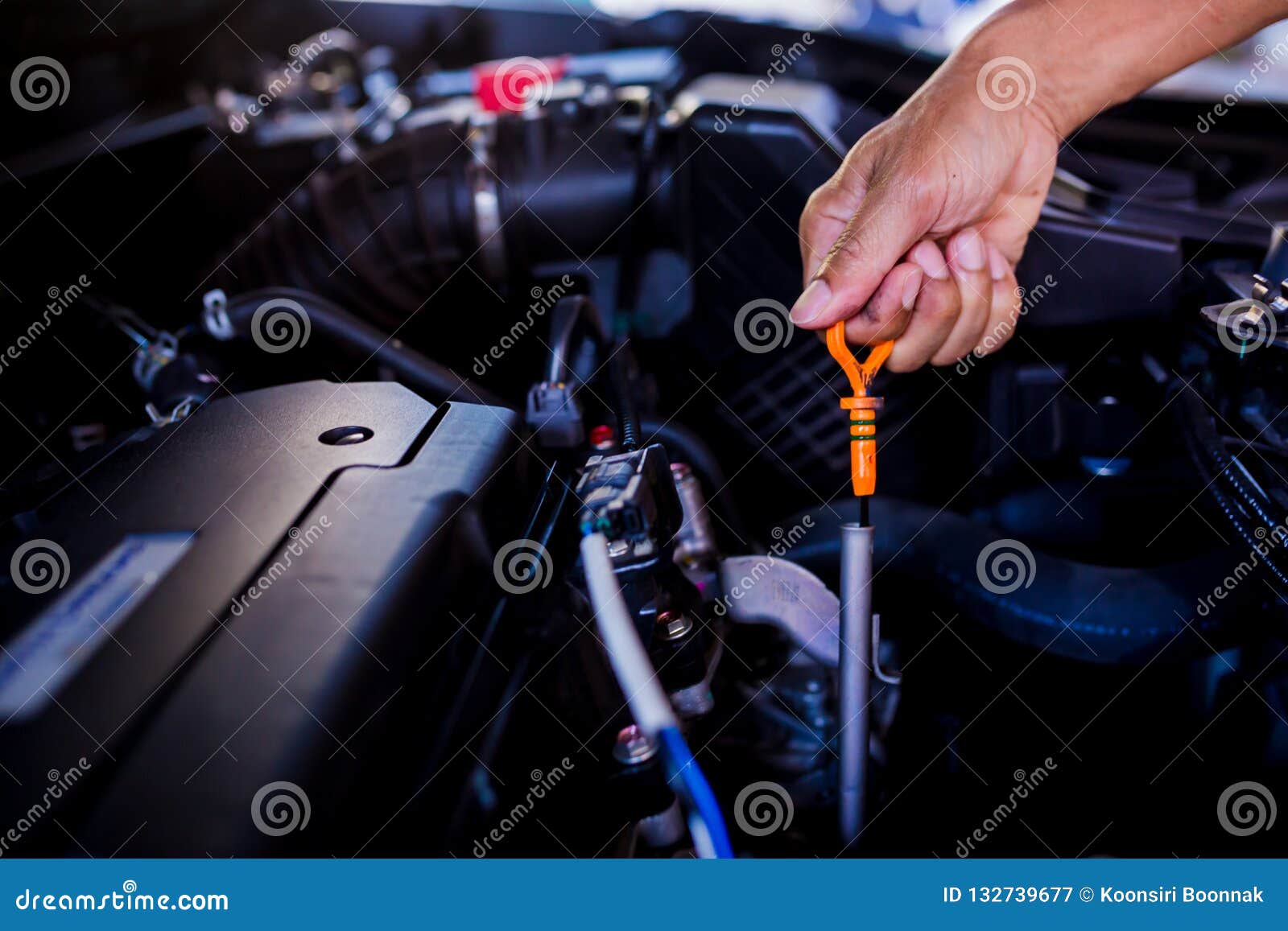 Check the Oil Level in Car Engine. Mechanic Checking Car Engine Stock