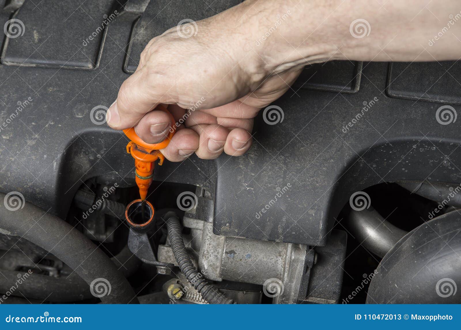 Check Oil Level At Dipstick Mark In Car Engine Stock Image Image Of Check Oil Level At Dipstick Mark In Car Engine Stock Image Image Of