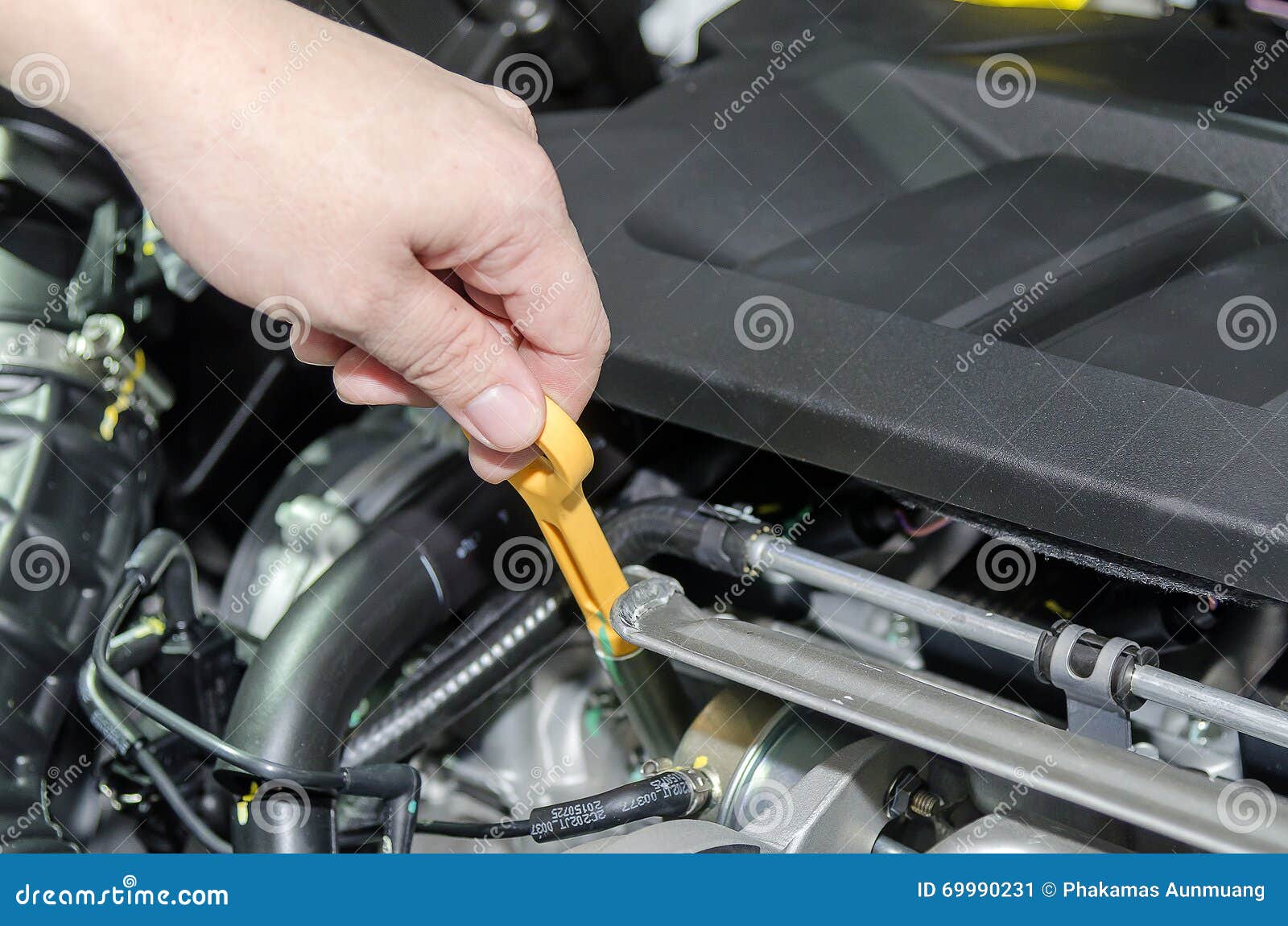 checking for engine oil on a car