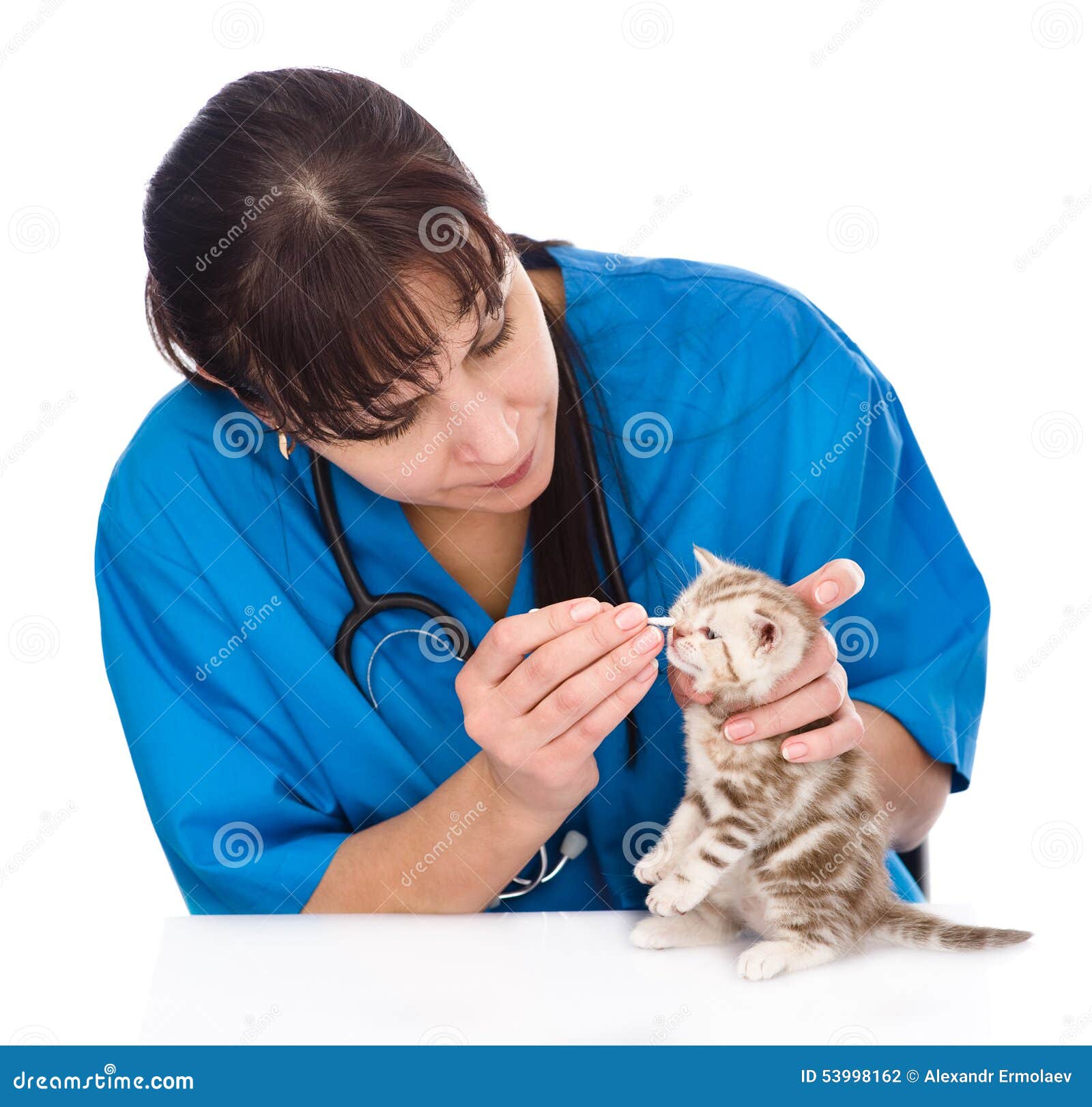 Checking Eyes of Cat in Veterinary Clinic. Isolated Stock Photo Image