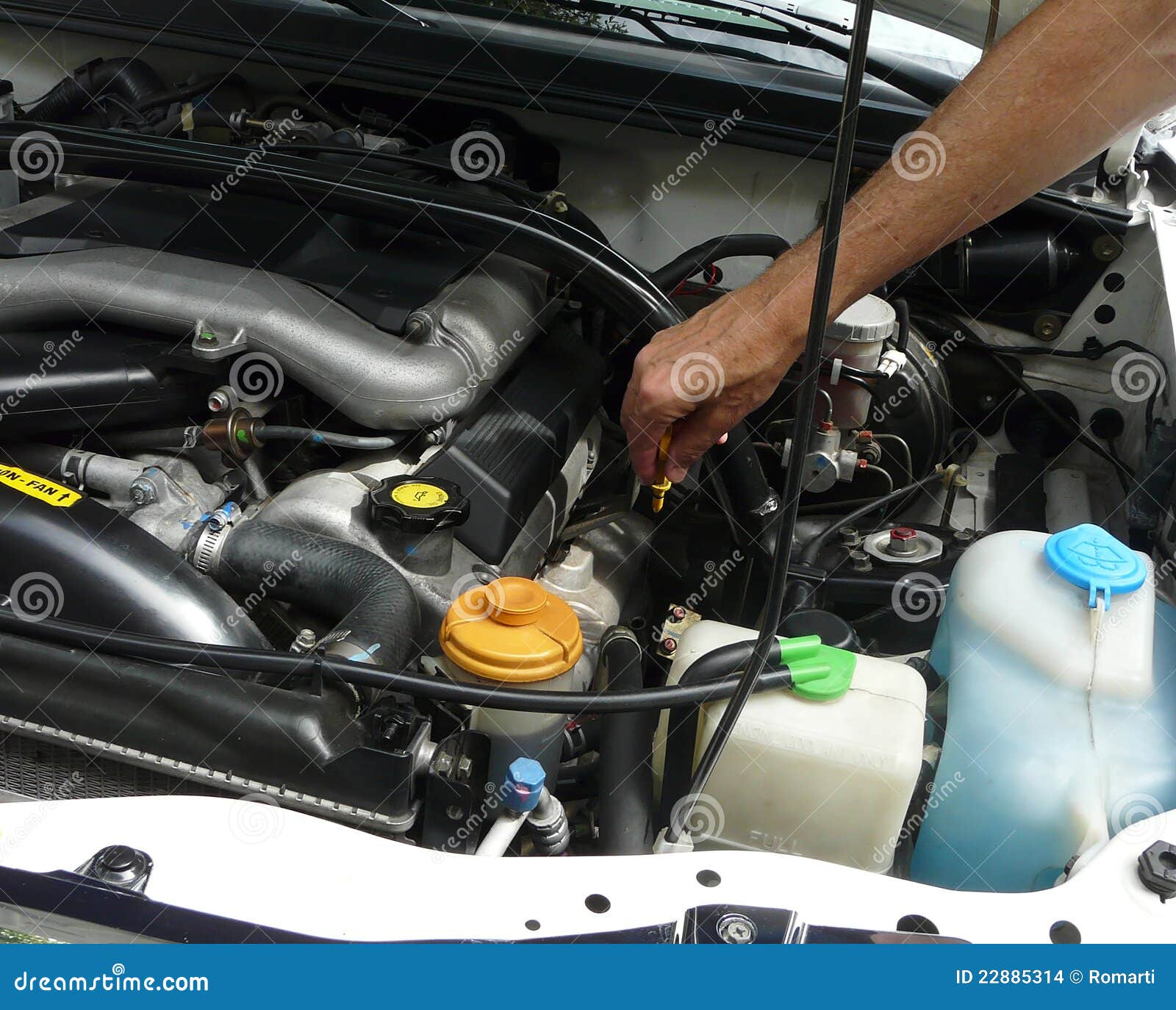 Checking Oil Dipstick stock photo. Image of automobile 22885314