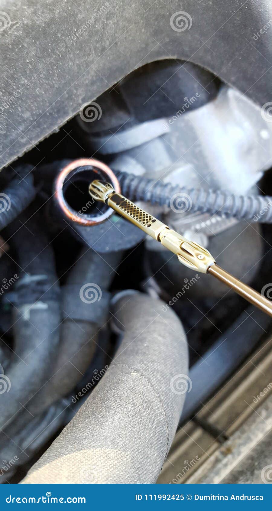 Oil dipstick car stock image. Image of maintenance, issue 111992425
