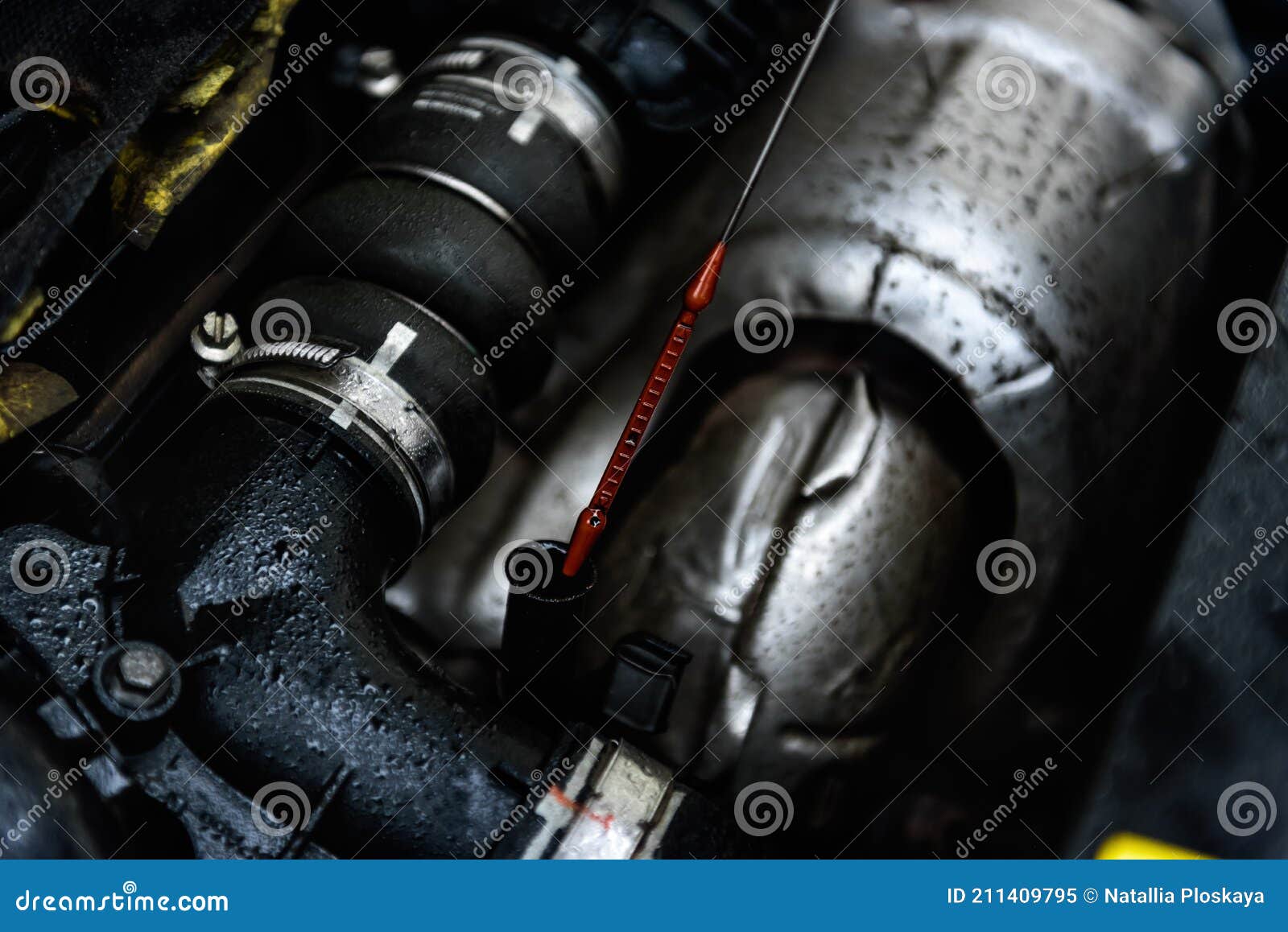Checking Oil Level In A Engine Stock Image Image Of Station Checking Oil Level In A Engine Stock Image Image Of Station