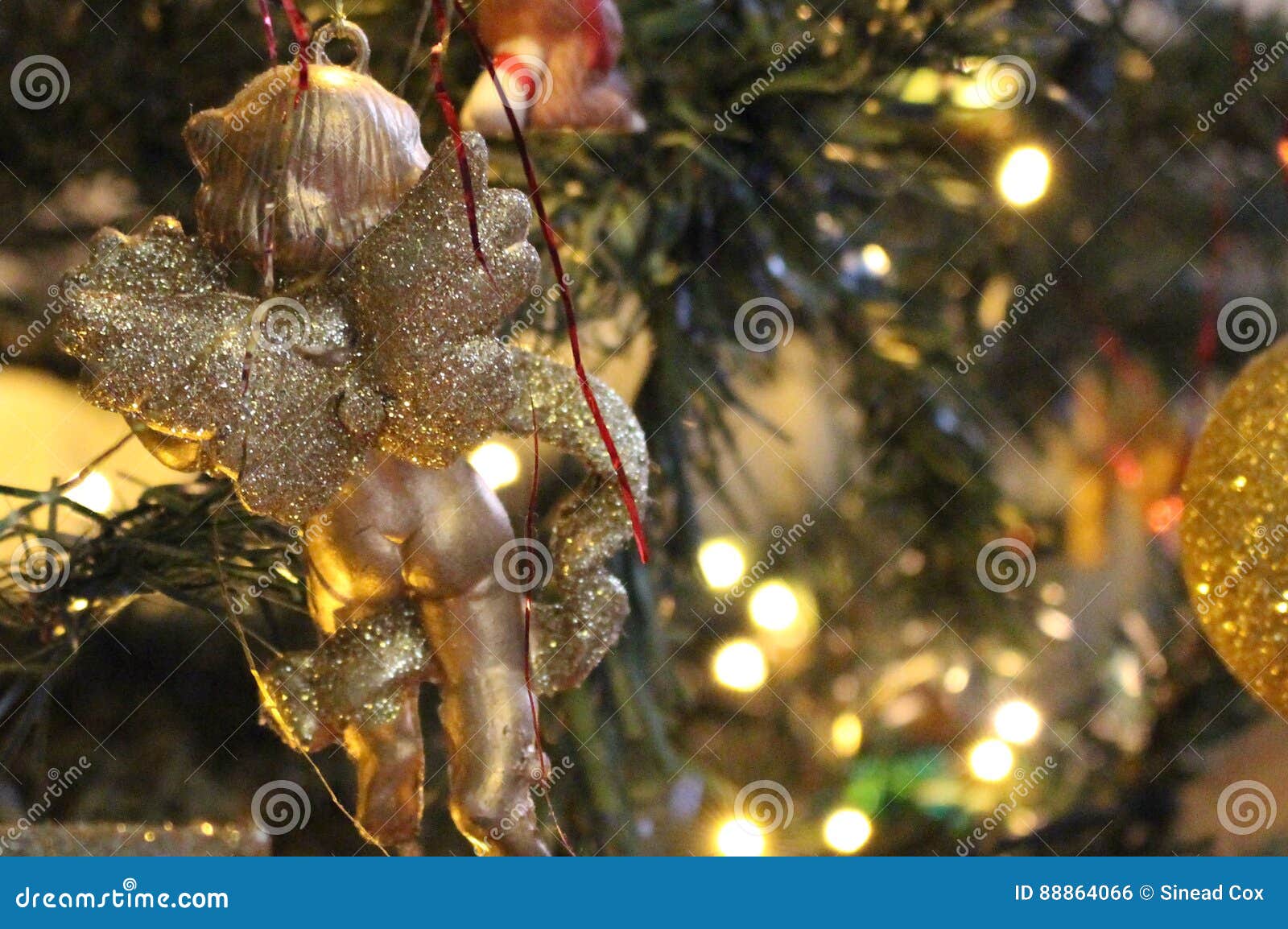 Cheeky Christmas Cherub stock photo. Image of cherub - 88864066