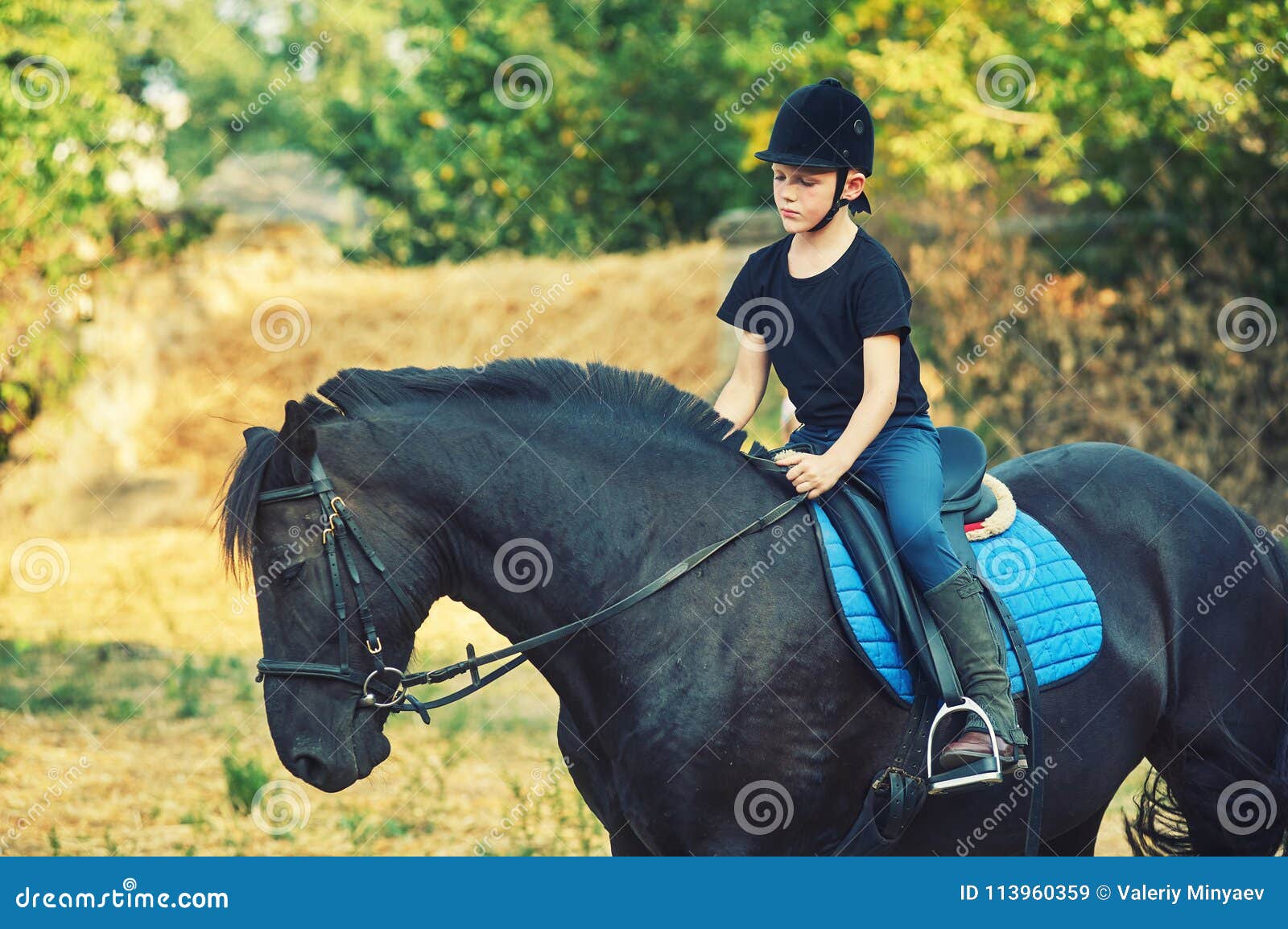 Boy Riding a Horse, Horse Riding Stock Image Image of rural, horse