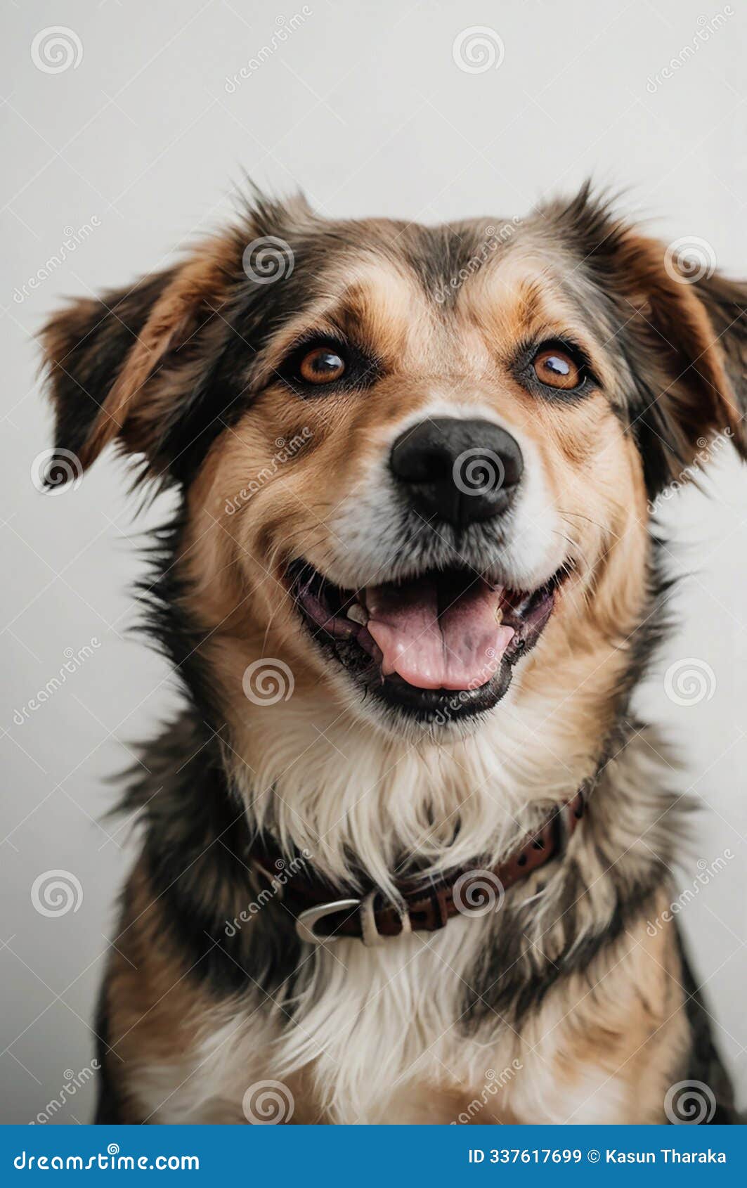 cheerful cute dog on white background adorable canine portrait playful and happy expression pet lover's delight