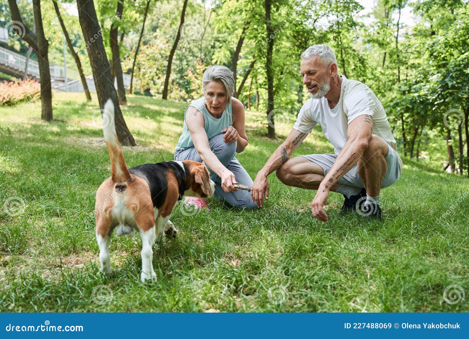 cheerful elderly twosome locating at the grass on lawn or park