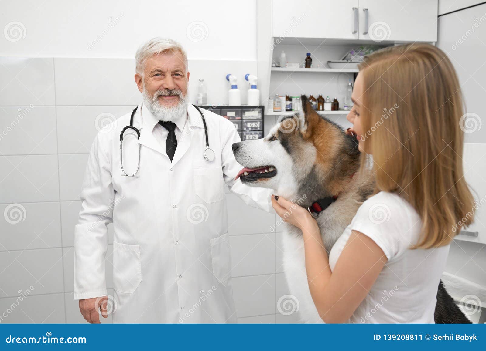 Doctor of Veterinary Clinic Posing Near Malamute. Stock Image - Image of healthy, treating: 139208811 Doctor of Veterinary Clinic Posing Near Malamute. Stock Image - Image of healthy, treating: 139208811