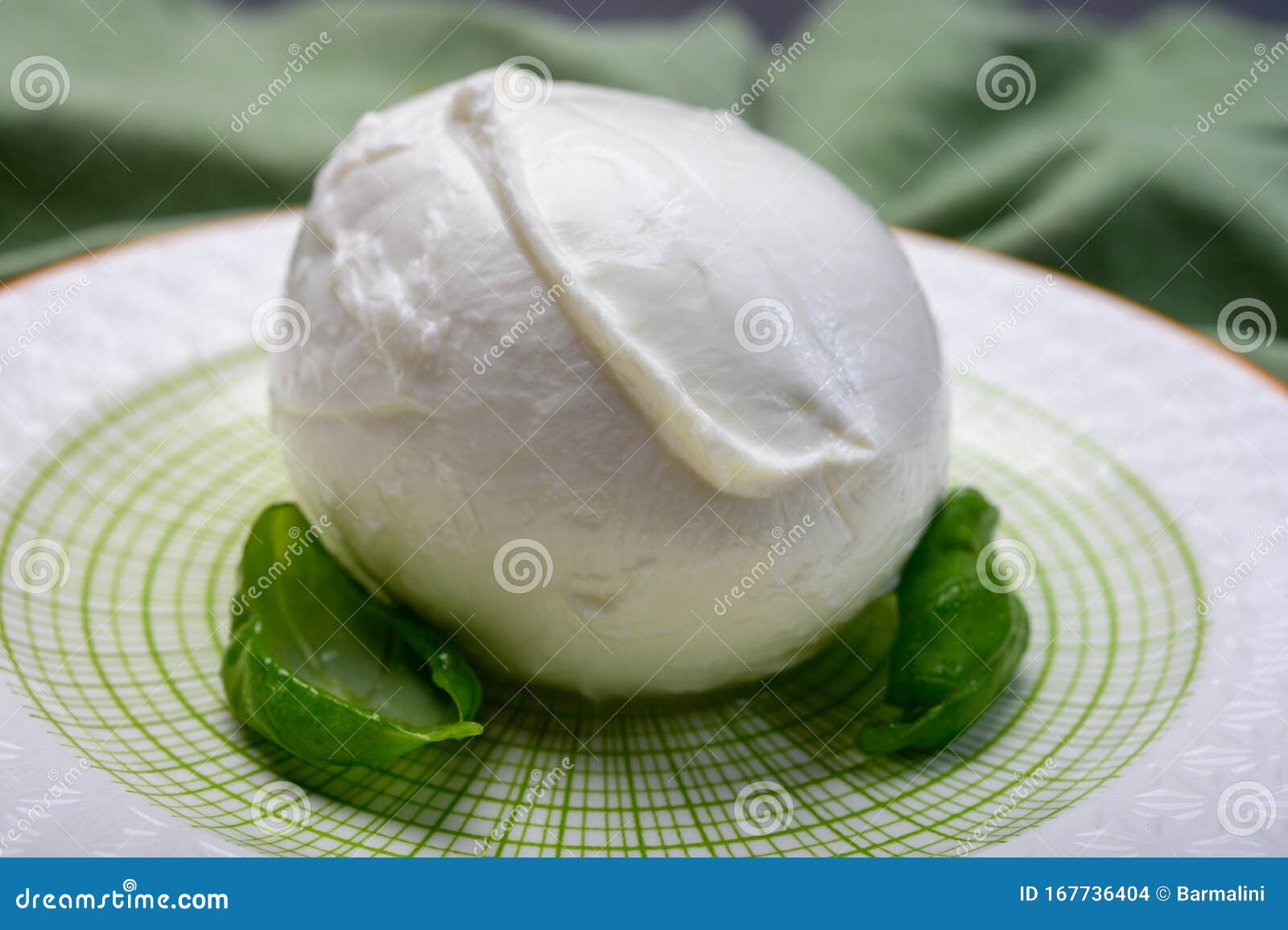 cheese collection, soft white italian mozzarella di bufala campana with fresh green basil leaves