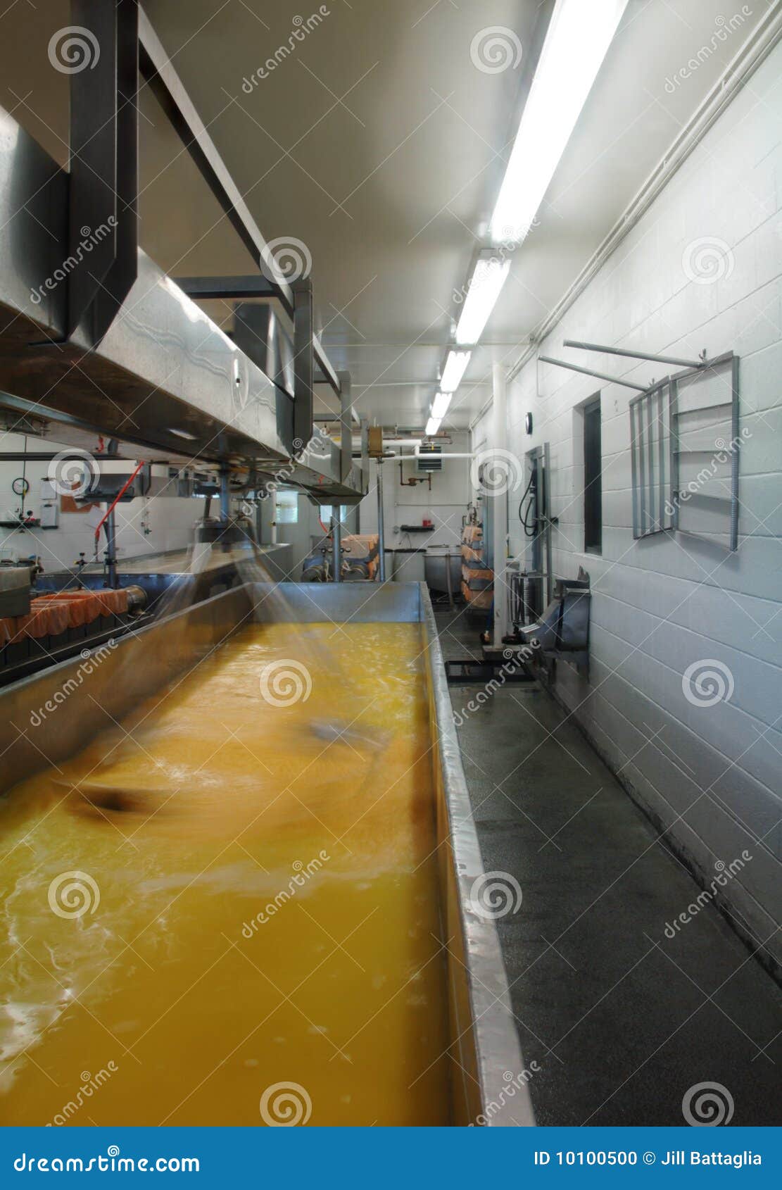 Cheese Factory stock photo. Image of organic, interior 10100500