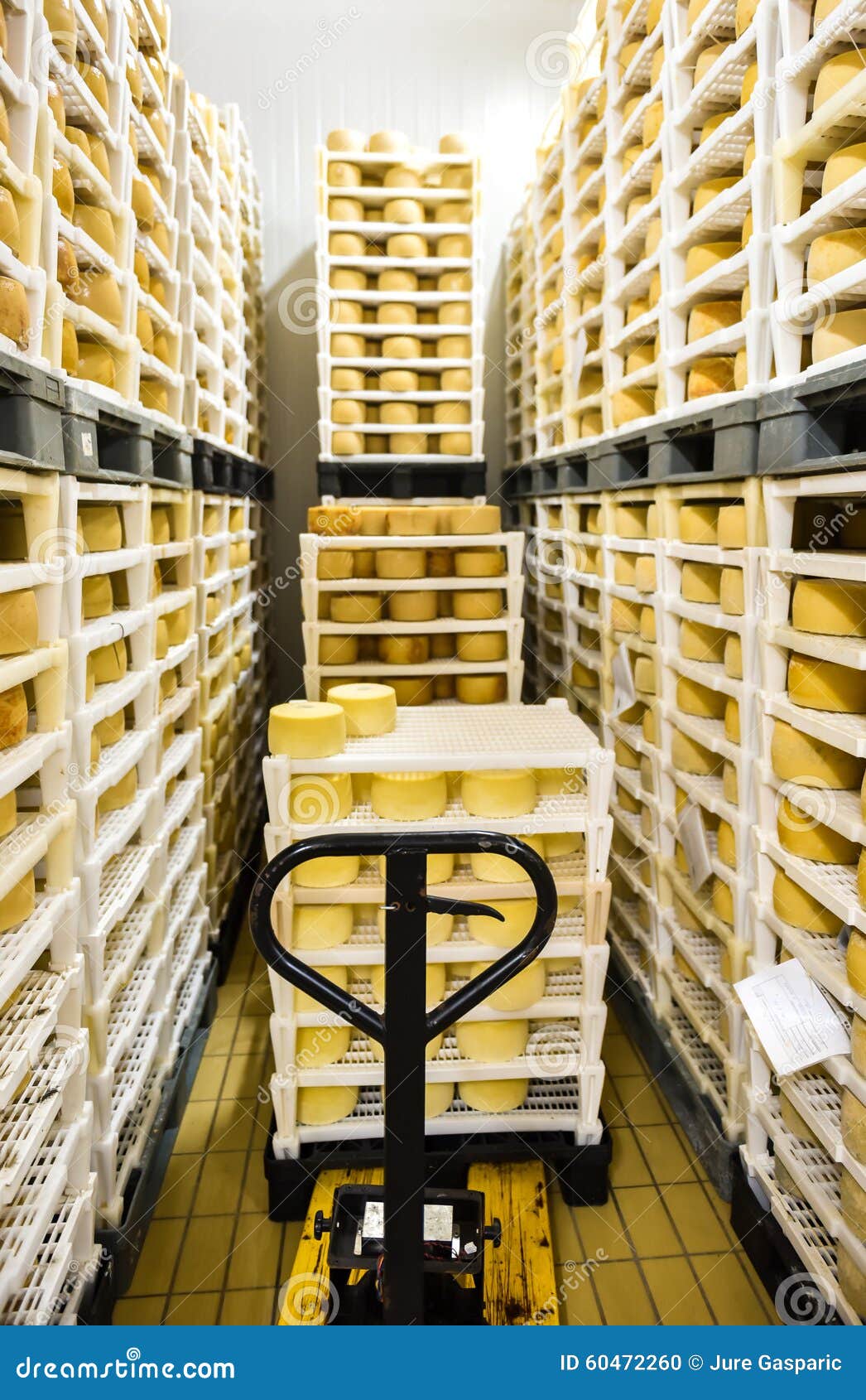 Cheese Factory Warehouse with Shelves Stacked with Cheese Stock Photo